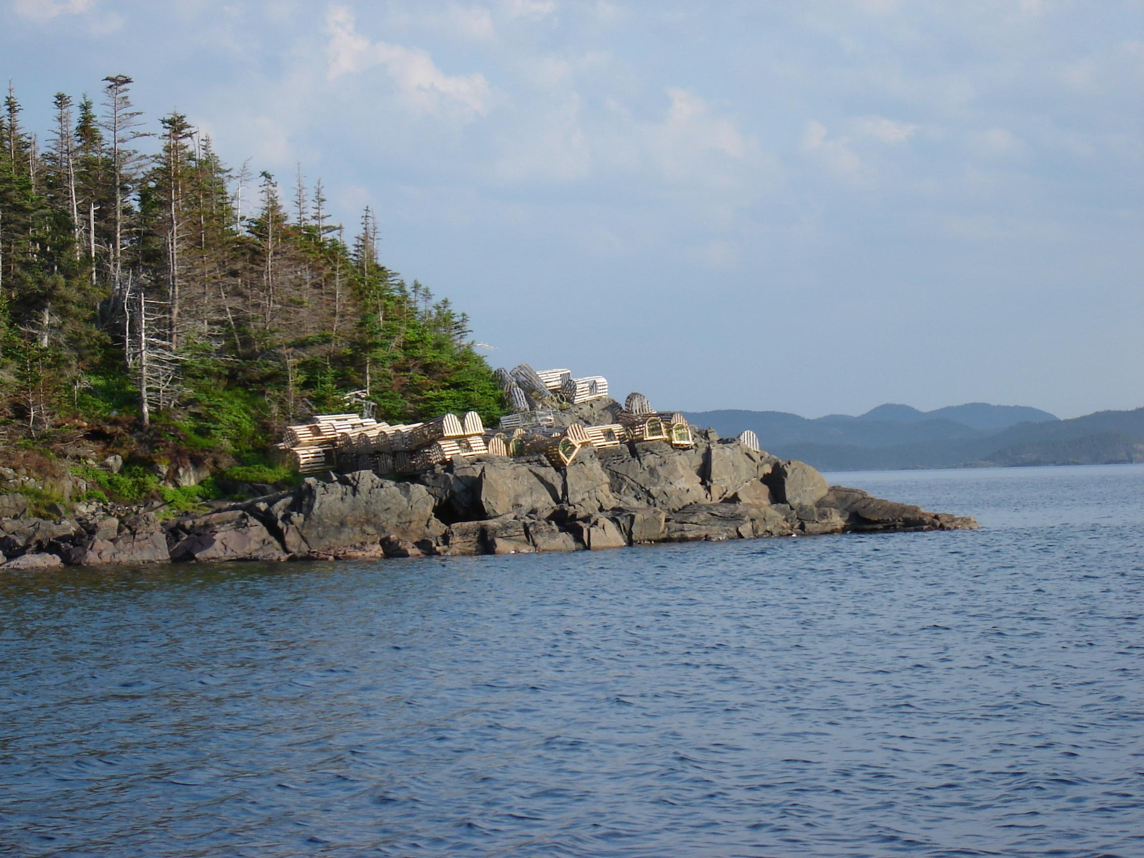 shore, waiting, tickle, rocks, sea, nature and landscapes, pots, 1080P, lobster, HD Wallpaper