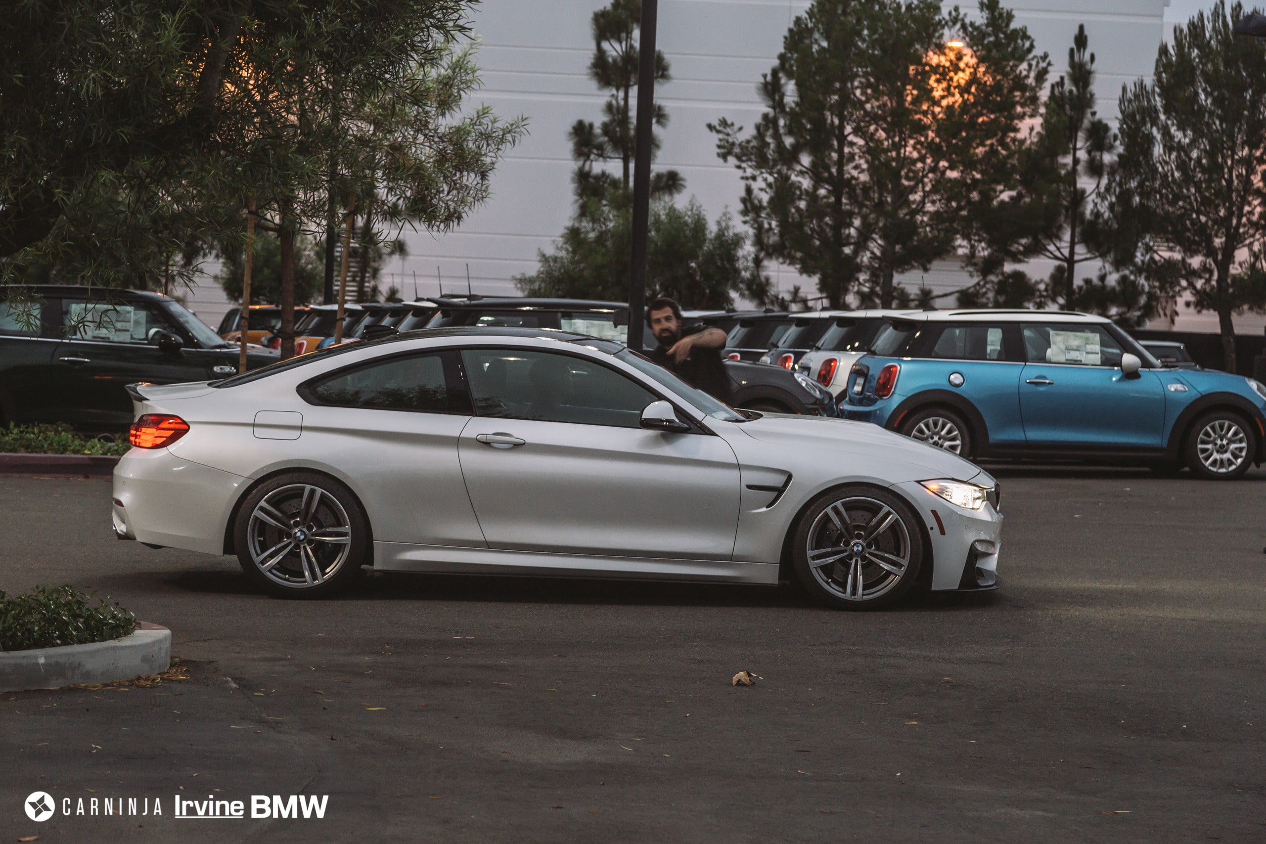 motor vehicle, sign, tree, road, city, BMW M4 Coupe, nature, car, no people, plant, Carninja, transportation, low, mode of transportation, parking, street, HD Wallpaper