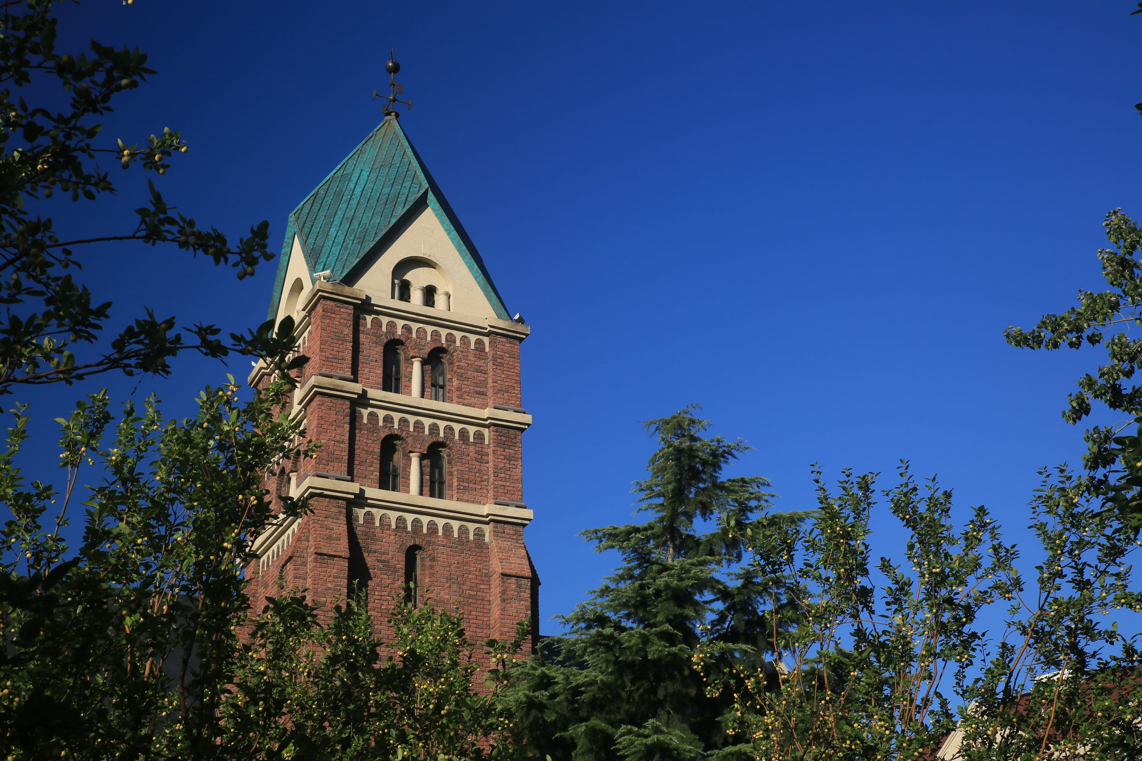 low angle view, tower, religion, tianjin, clock tower, spirituality, built structure, 4K, clear sky, architecture, belief, fifth avenue, spire, tree, blue, HD Wallpaper