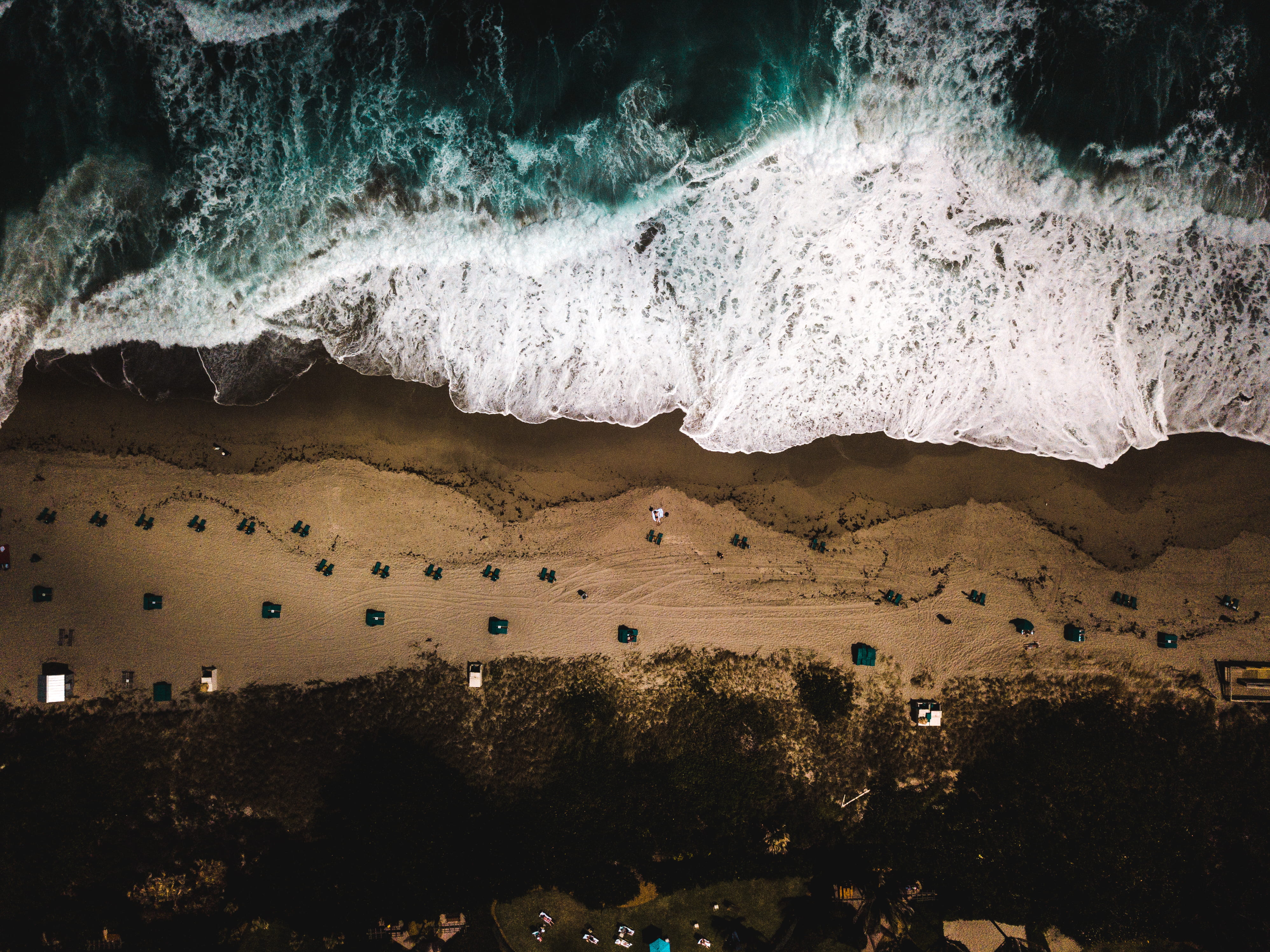 day, dark, animal, water, dji, longexposure, animal themes, outdoors, view, sea foam, photo, scenery, scenics - nature, florida, sea, wave, animals in the wild, HD Wallpaper