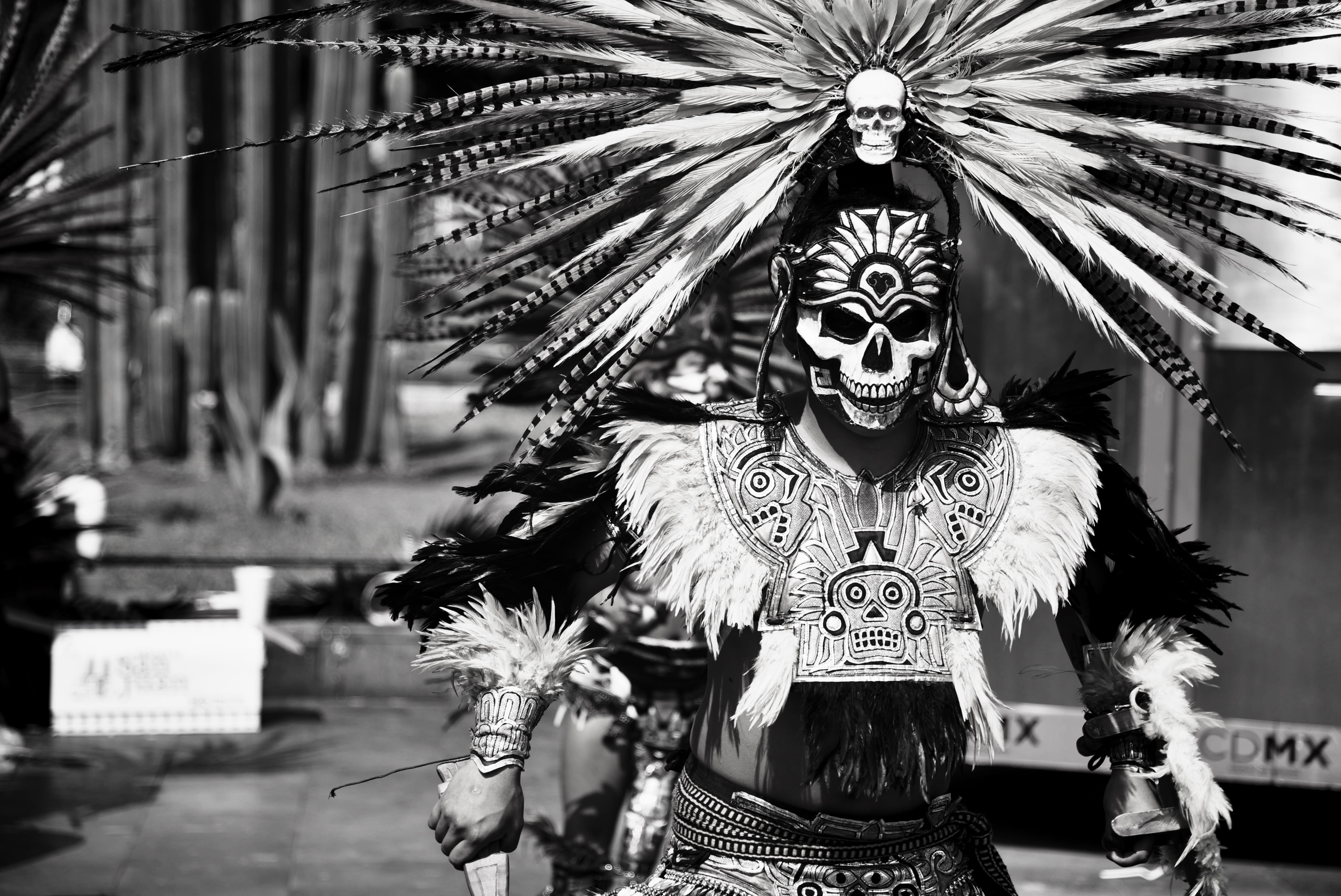 carnival - celebration event, obscured face, traditional festival, mask - disguise, plant, front view, skin, mexico, real people, outdoors, celebration, HD Wallpaper