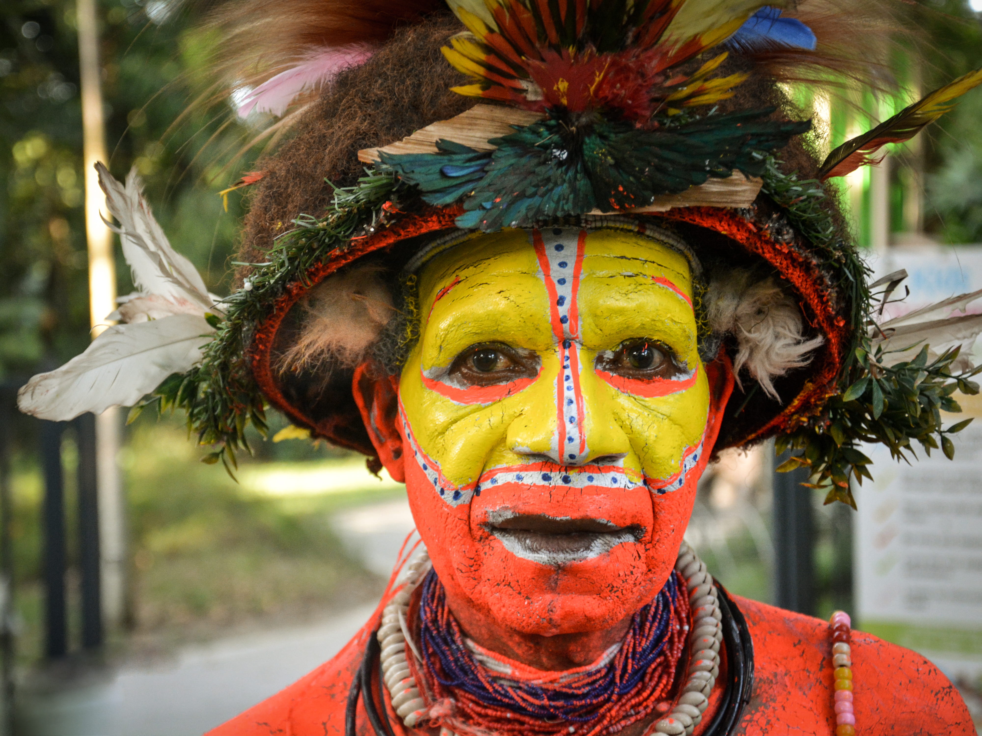 person, lifestyles, crowd, bird, feather, papua new guinea, outdoors, real people, man, bead, paint, traditional festival, arts culture and entertainment, HD Wallpaper