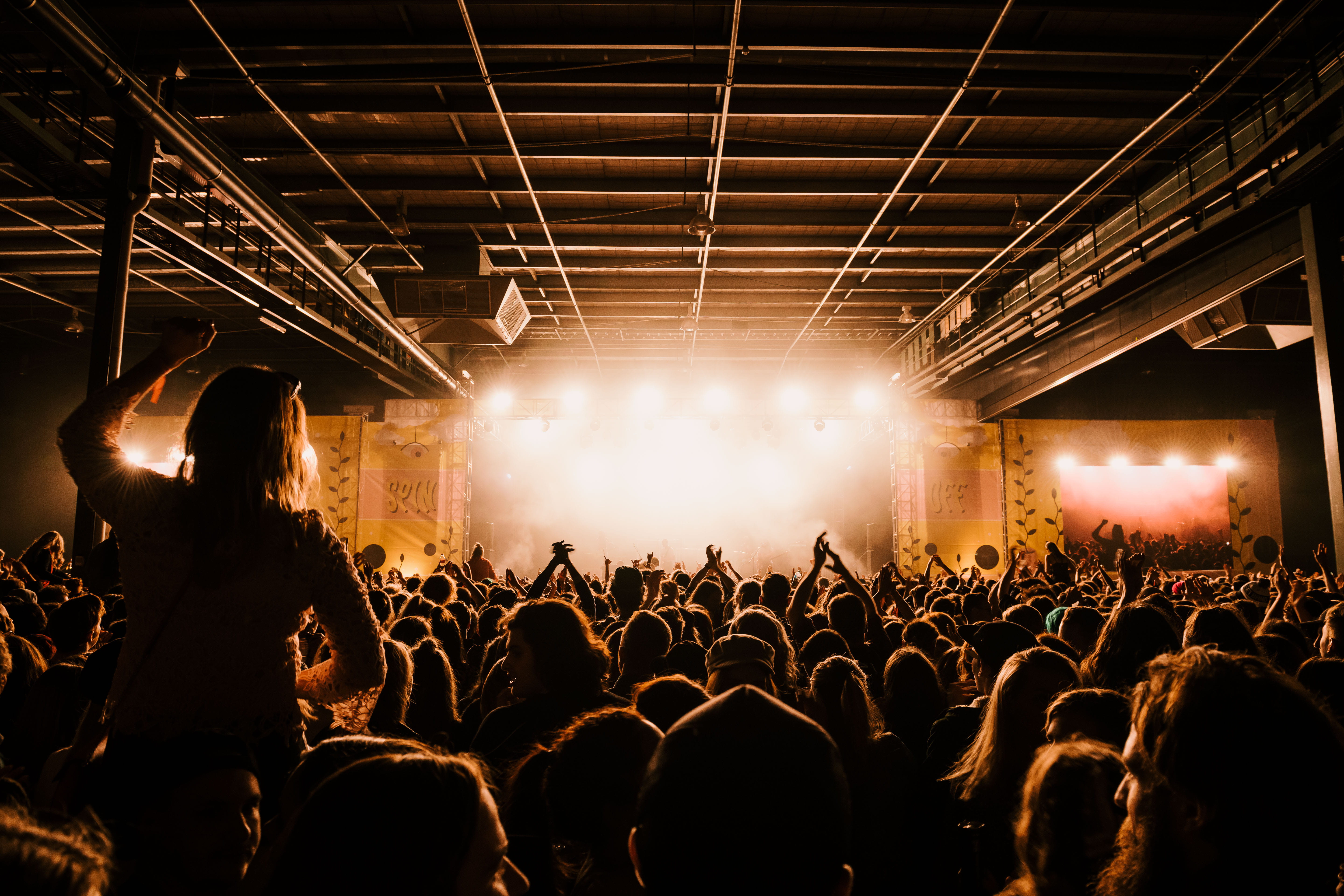 young Adult, nikon, lighted, musician, adolescence, cheering, gold, popular Music Concert, enjoyment, spectator, summer, person, nightclub, fan - Enthusiast, HD Wallpaper
