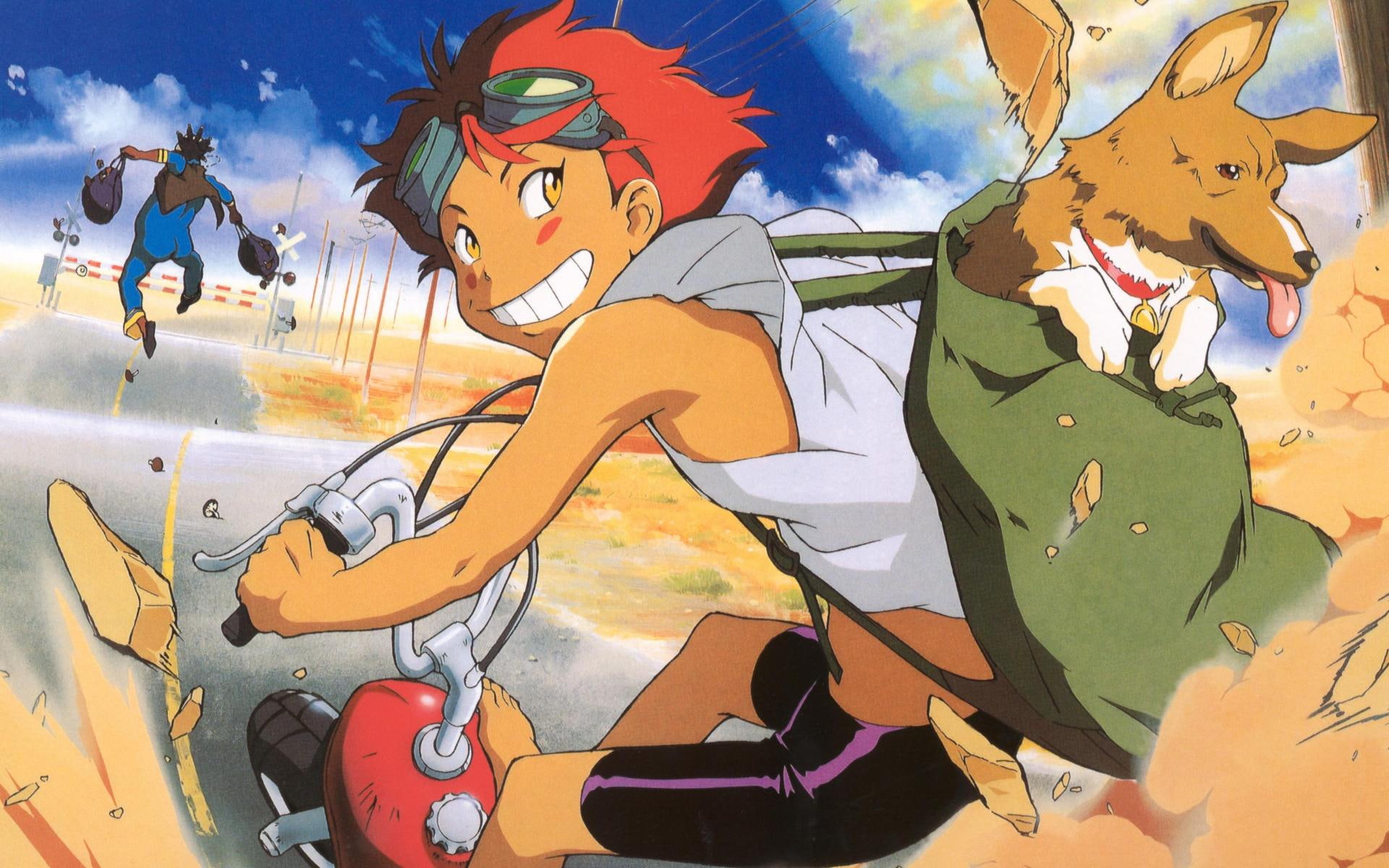 ein, hd, 1080P, ed, cowboy, cowboy bebop, anime, bebop, art, x, HD Wallpaper