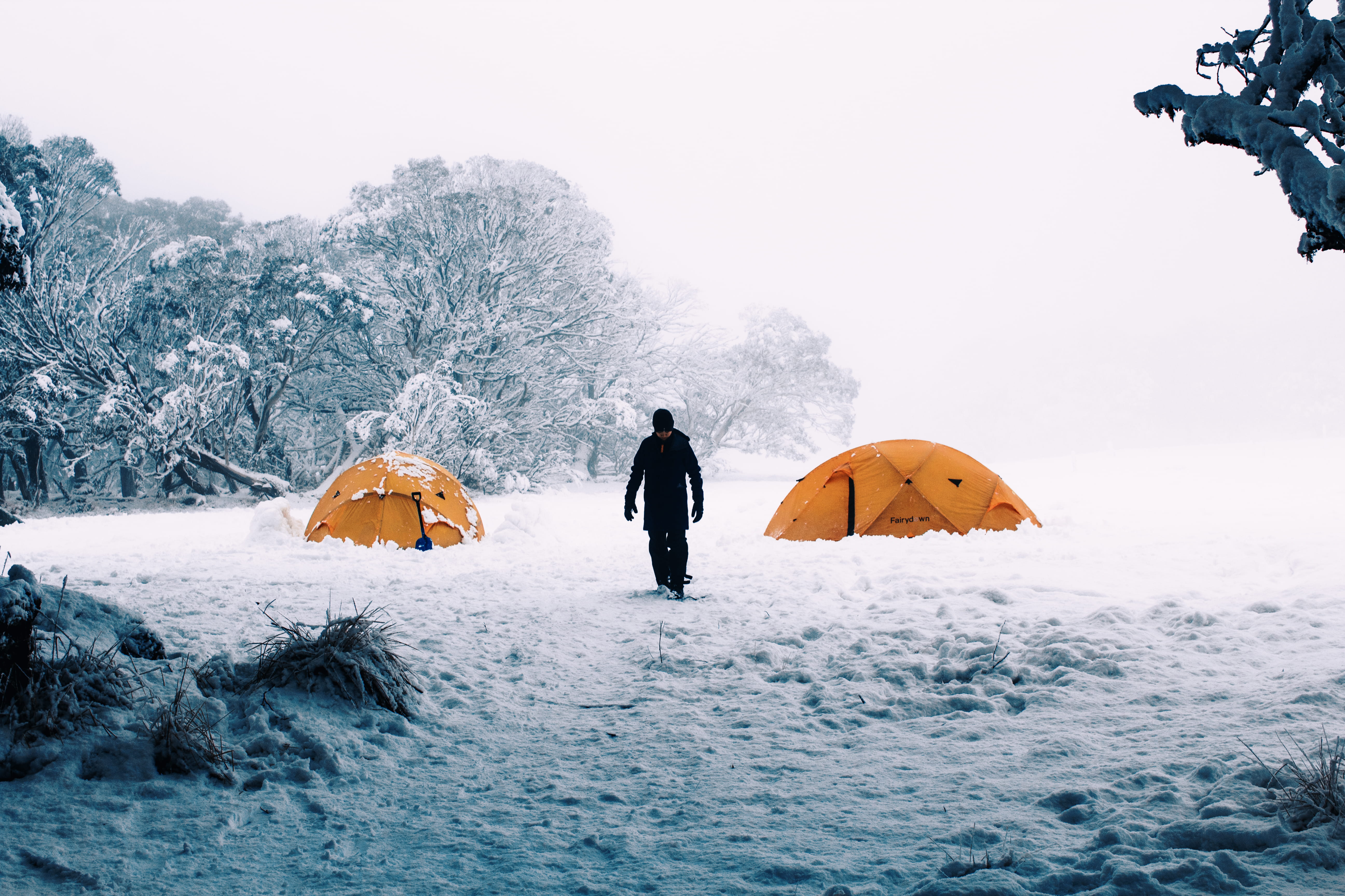background, land, adventure, 5K, person, scenics - nature, covering, trees, warm clothing, tree, day, beautiful, camping, cold, winter, snow storm, australia, HD Wallpaper