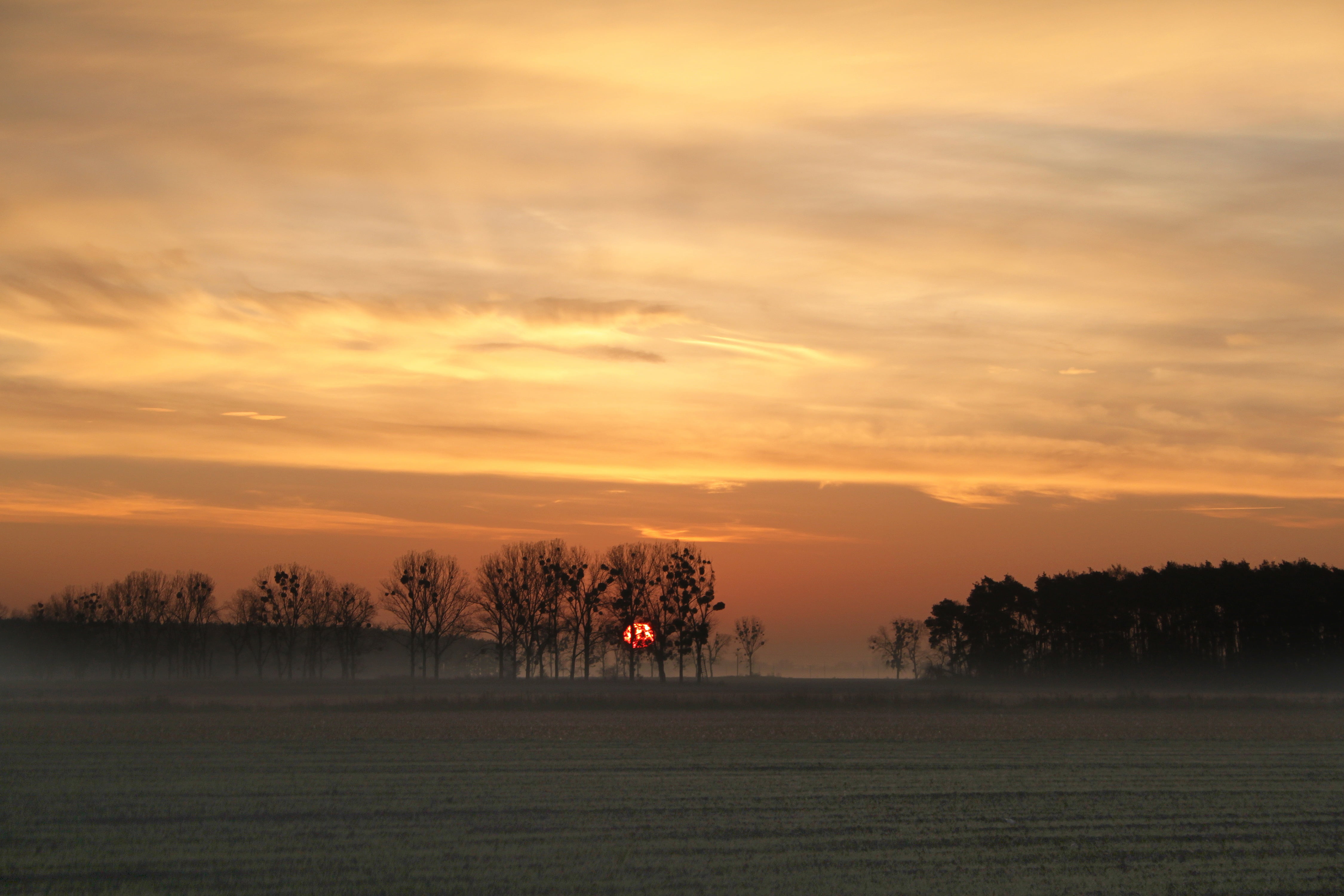 no people, beauty in nature, idyllic, cloud - sky, environment, peace of mind, tranquility, nature, orange, sky, scenics, the fog, dawn, morning, november, HD Wallpaper