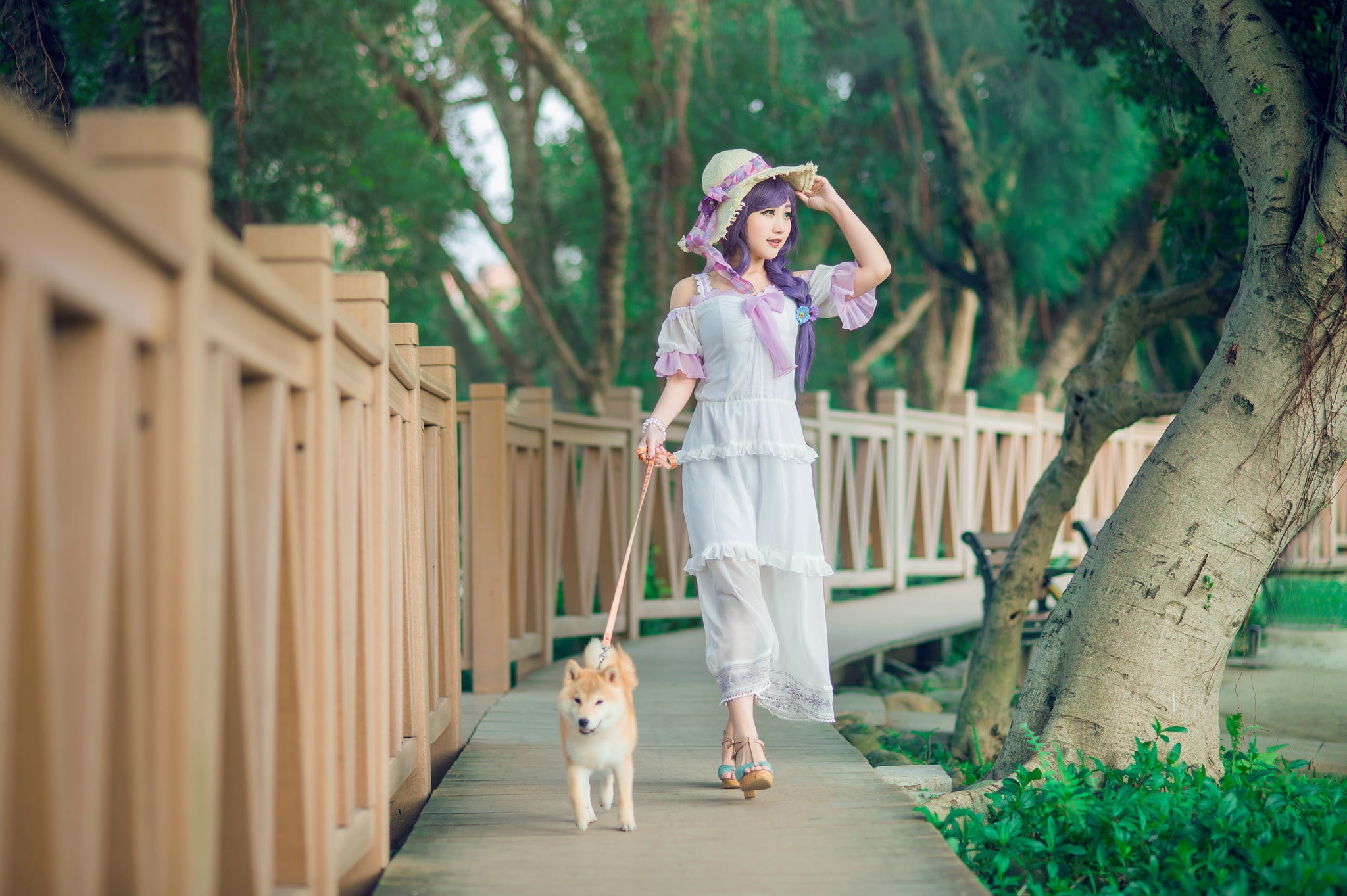 1080P, street, Shiba, walk, leash, columns, braid, hat, runs, pet, dog, trunks, style, shoes, look, image, greens, is, Park, trees, wooden, background, HD Wallpaper