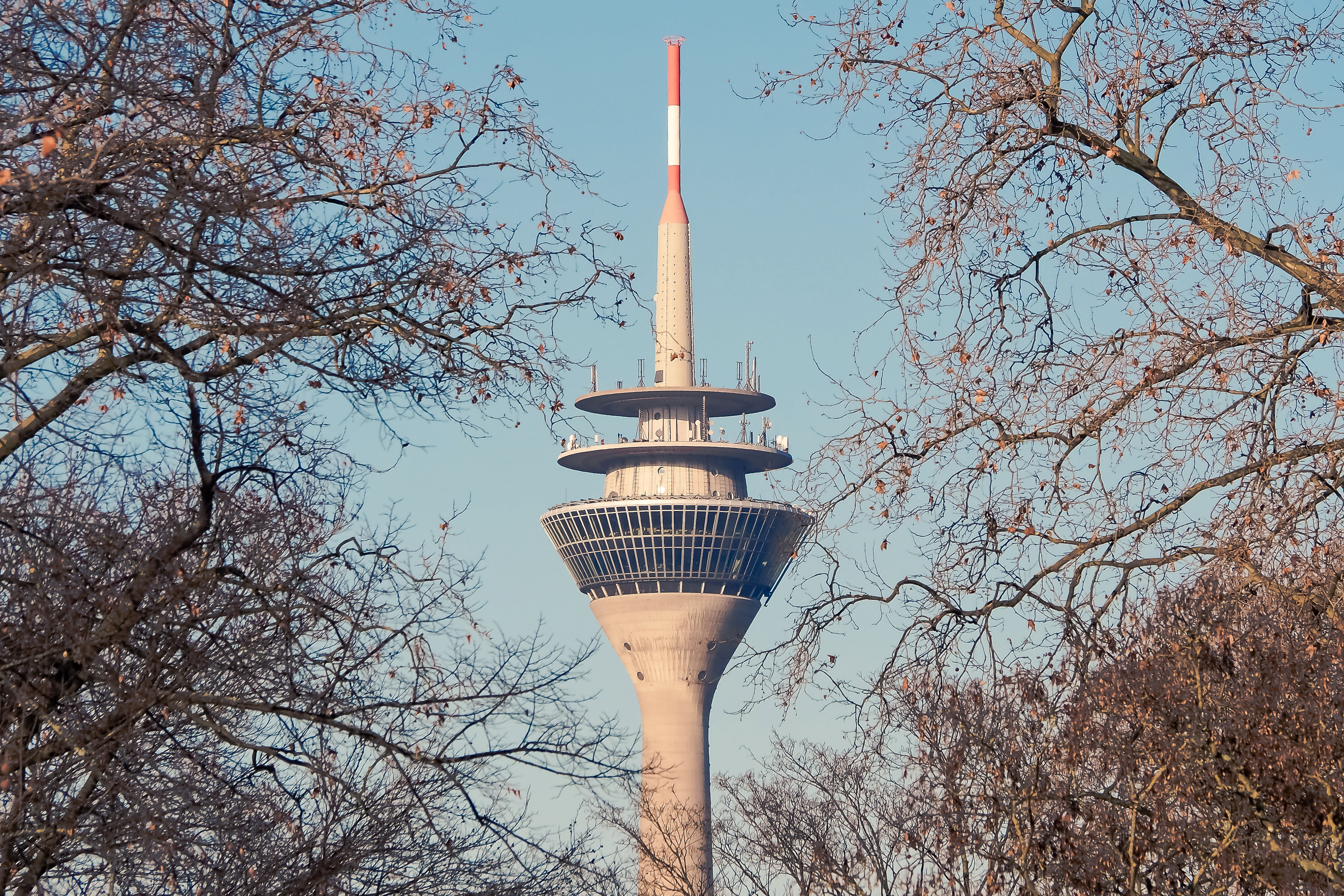television Tower - Berlin, travel destinations, architecture, tall - high, low angle view, branch, no people, street light, urban, building exterior, tv tower, HD Wallpaper