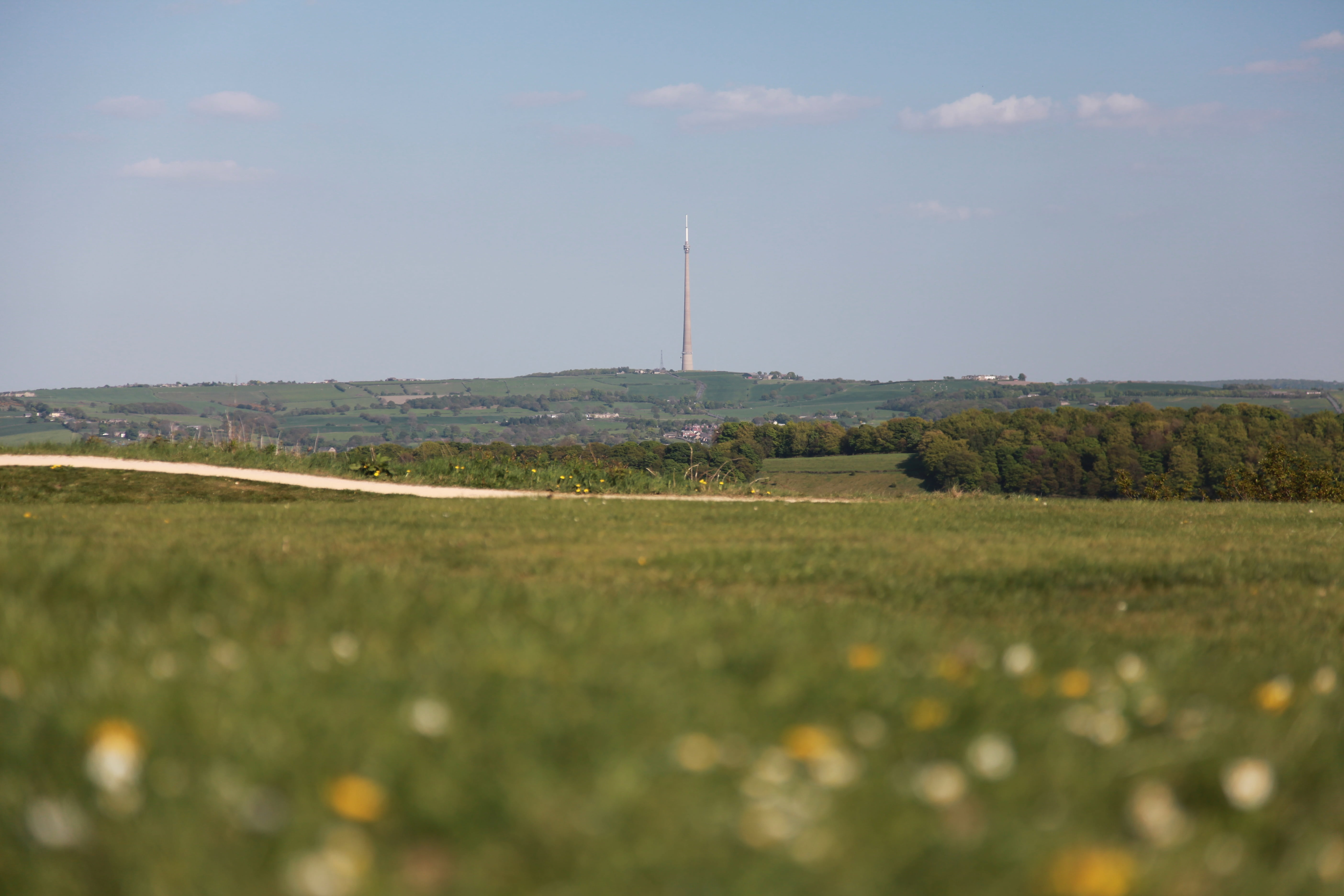 scenery, 5K, television, greenery, tree, environment, countryside, yorkshire, moor, beauty in nature, hilltop, technology, radio, land, grass, blue, tranquil scene, HD Wallpaper
