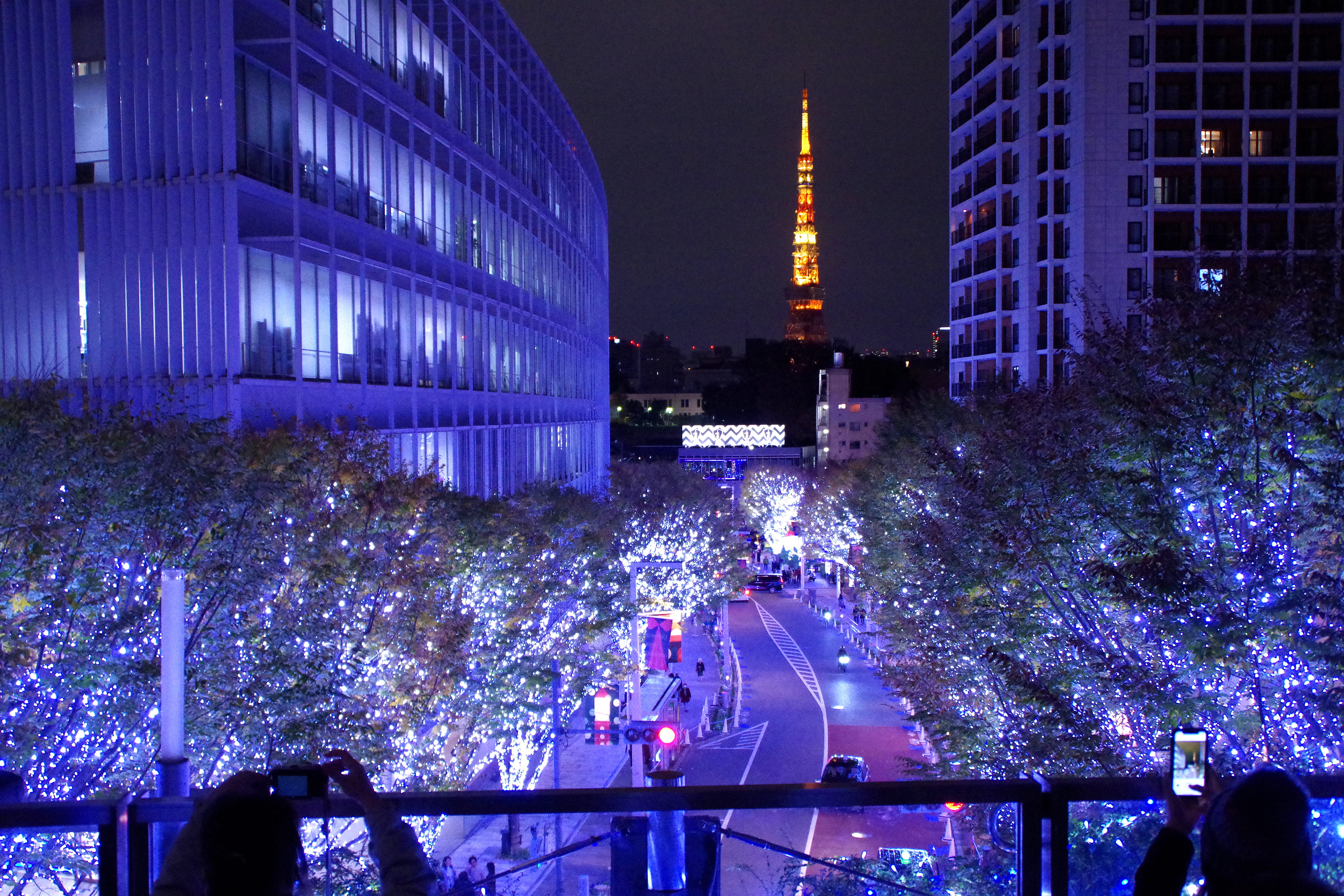 illuminated, night, celebration, travel destinations, plant, roppongi, outdoors, tree, christmas, purple, tokyo, city life, office building exterior, street, HD Wallpaper