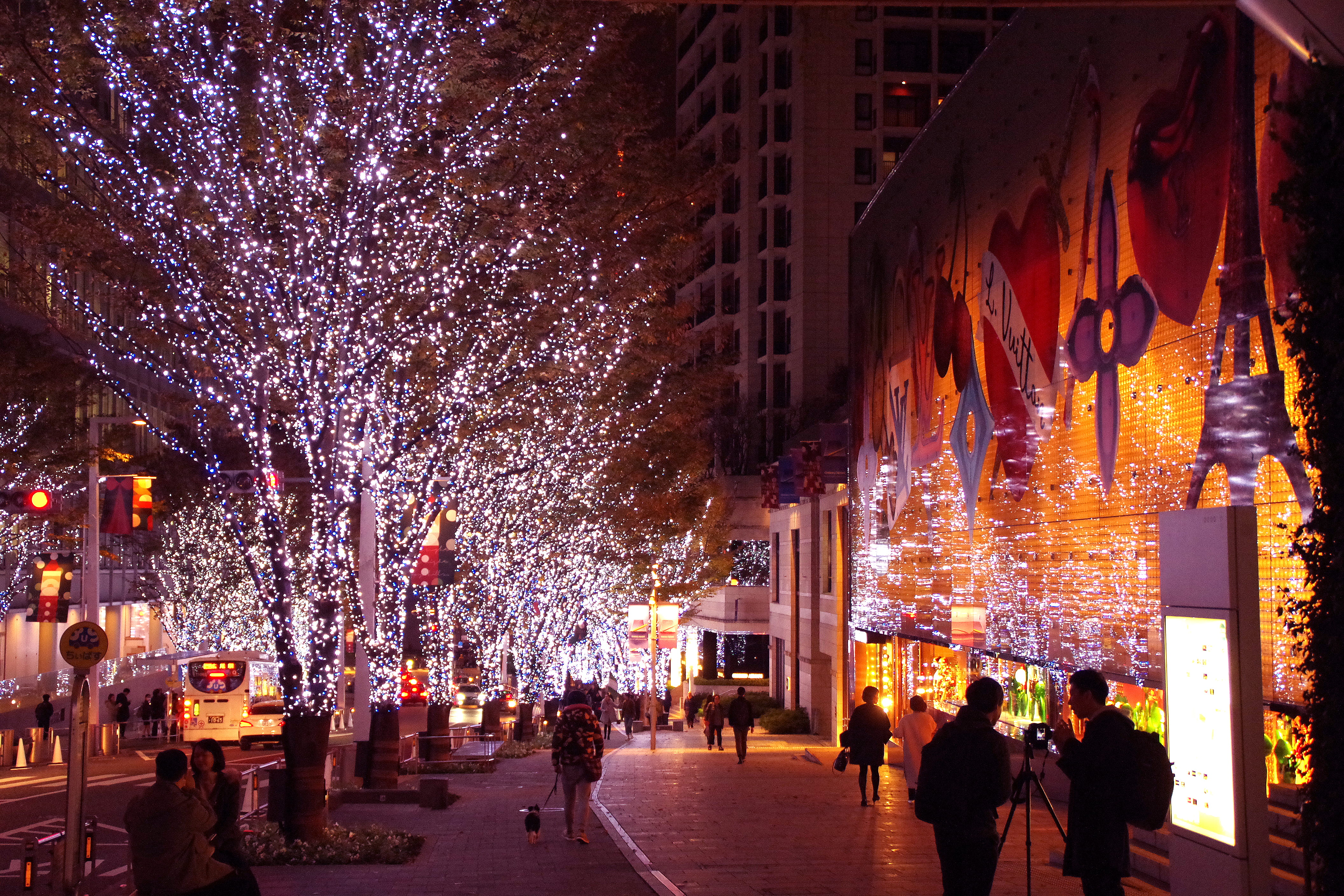 architecture, outdoors, tree, building, plant, japan, built structure, adult, men, night, illuminated, celebration, nature, women, roppongi, group of people, HD Wallpaper
