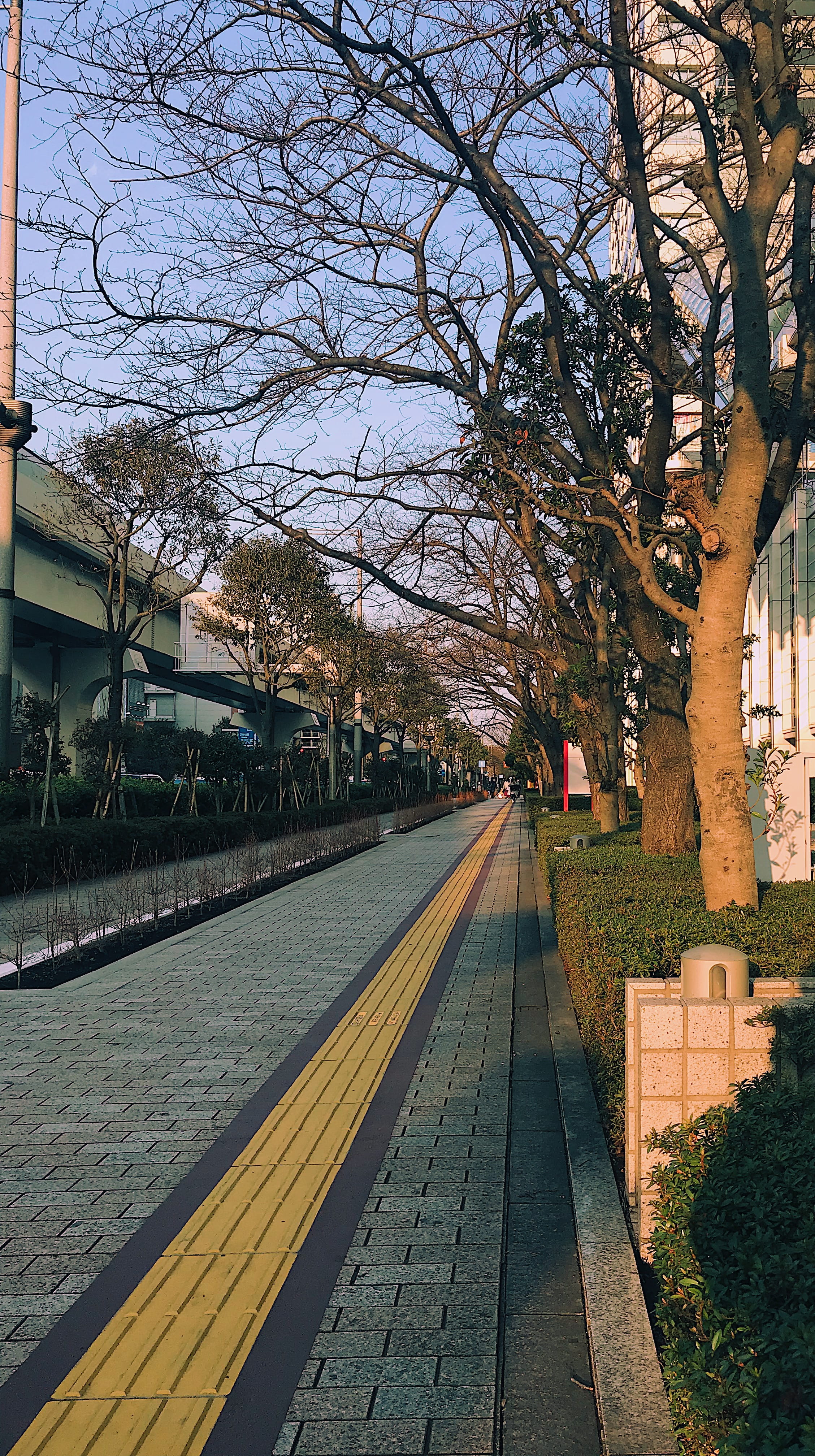bare tree, architecture, plant, cobblestone, day, track, vehicle, yellow, diminishing perspective, terminal, the way forward, tree, railway, path, train station, Phone HD Wallpaper
