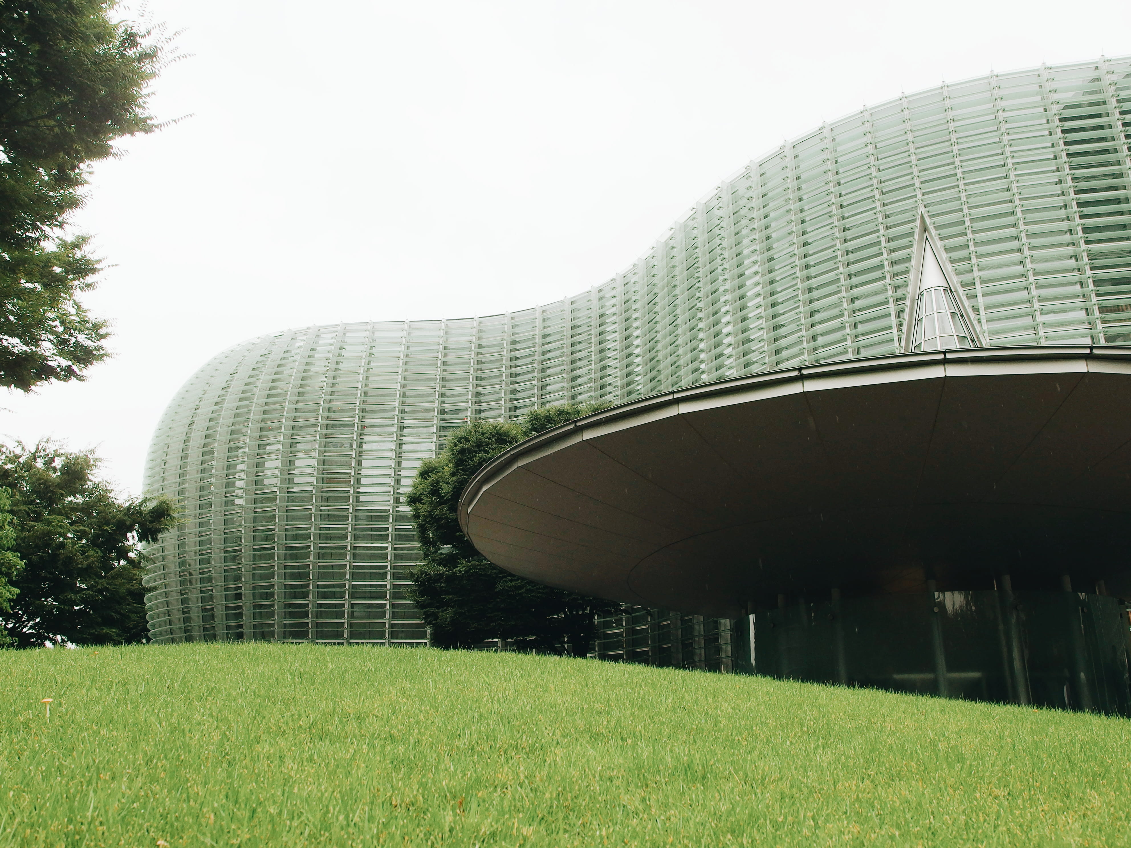 grass, minato-ku, architectures, nature, architecture, green, building exterior, modern, glass, outdoors, travel destinations, low angle view, HD Wallpaper