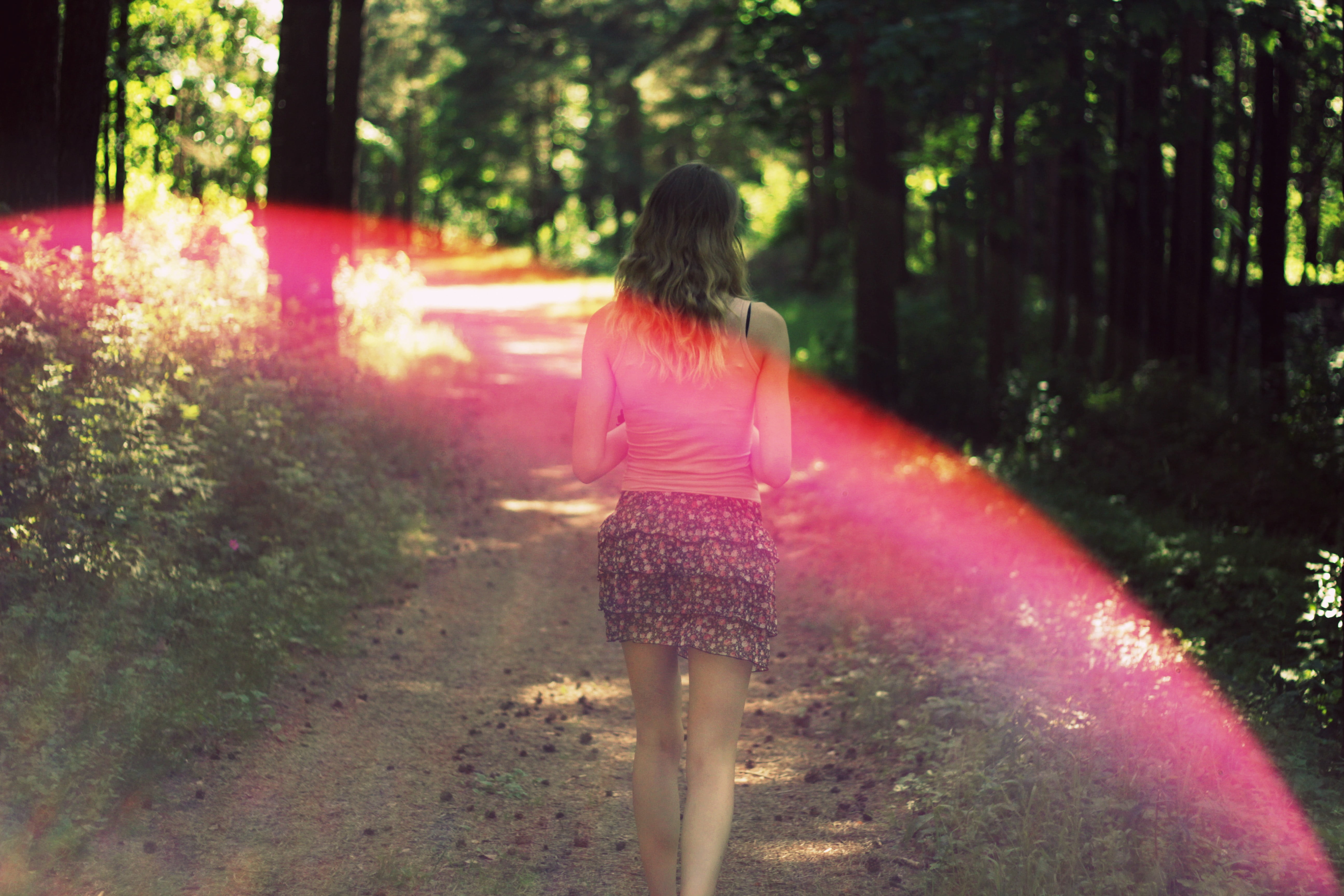 one person, hairstyle, full length, skirt, June, pink, land, sunlight, lifestyles, real people, wood, clothing, summer, rear view, women, plant, adult, HD Wallpaper
