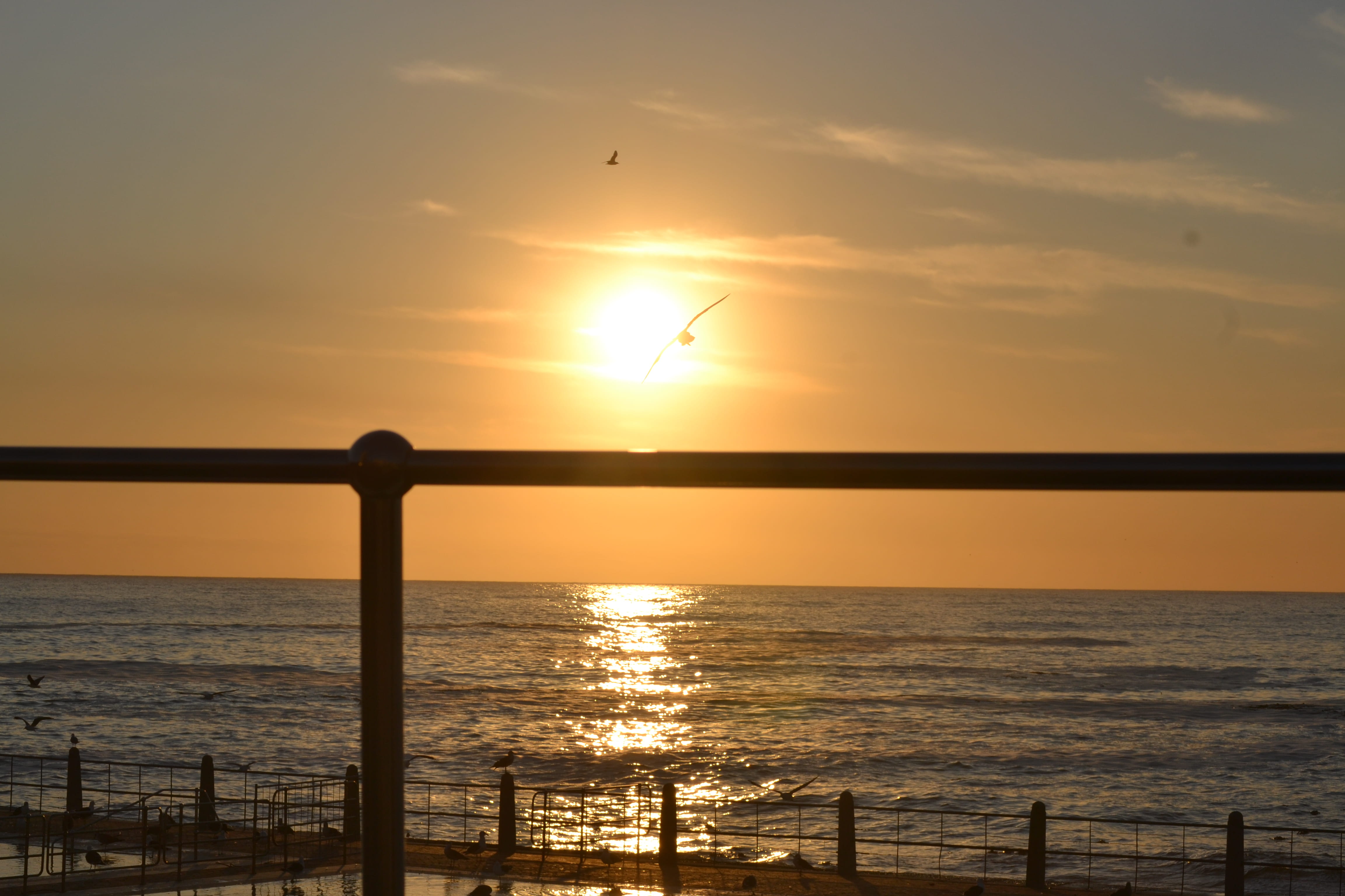 beauty in nature, cape town, sunset in camps bay, ocean life, scenics - nature, horizon, ocean view, silhouette, sun, sunset at sea point, sky, africa do sul, HD Wallpaper