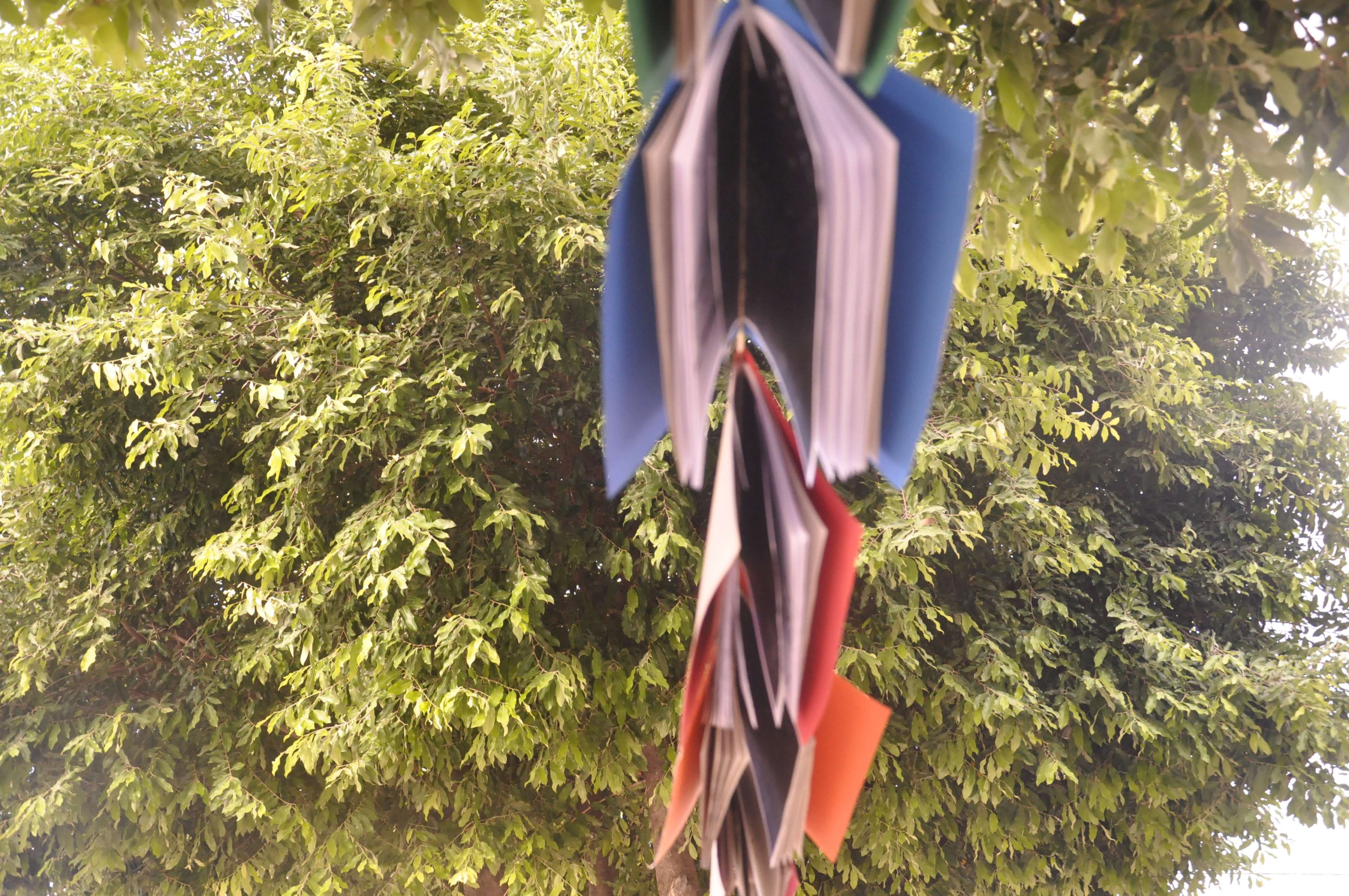 forest, rua, nature, hanging, casa, streat, tree, green color, livros, rio, brazil, plant part, plant, growth, low angle view, decoration, book, day, sunlight, HD Wallpaper