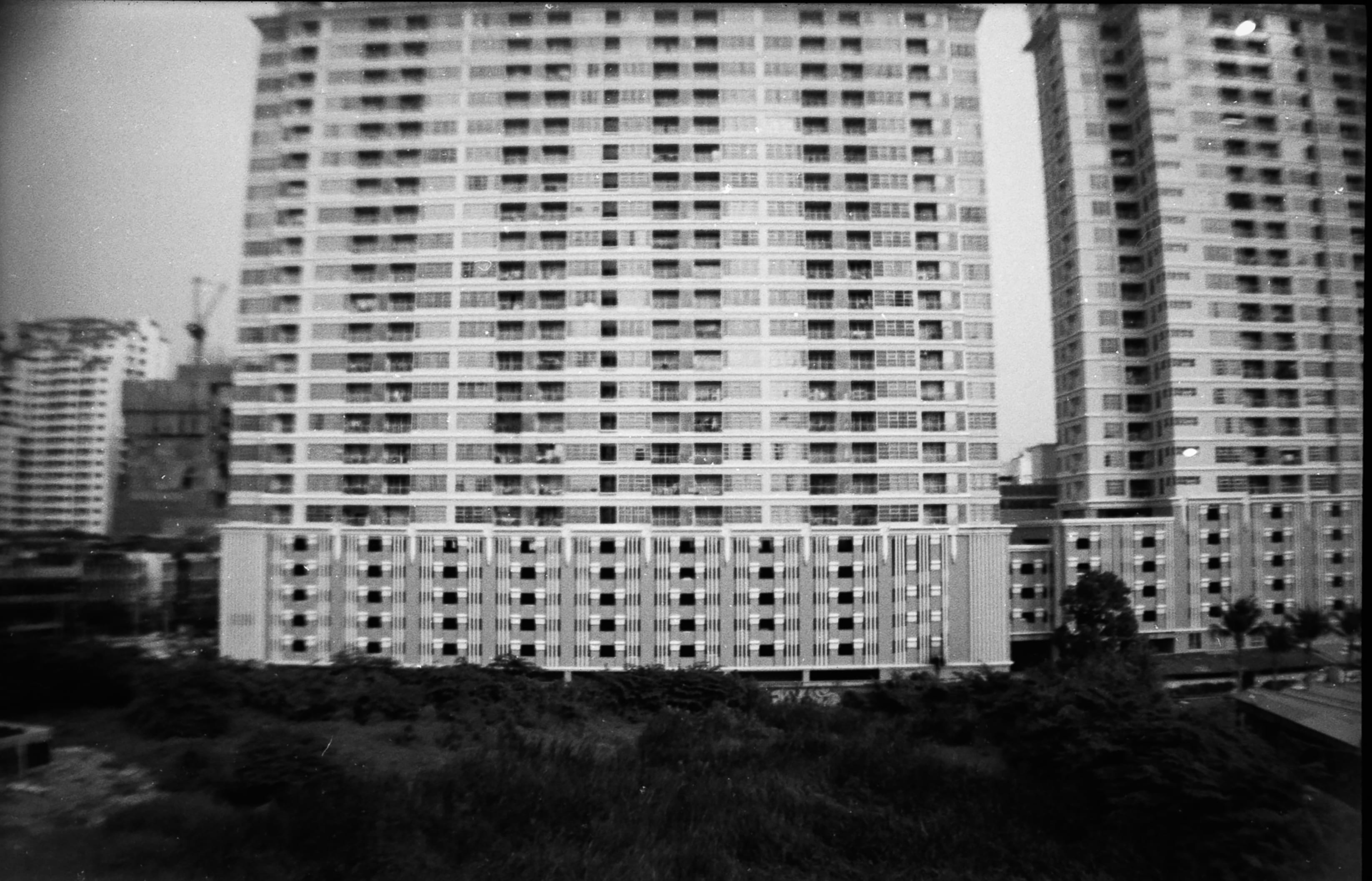 tree, built structure, film, nature, architecture, lomography, window, day, megacity, office building exterior, no people, city life, residential district, HD Wallpaper