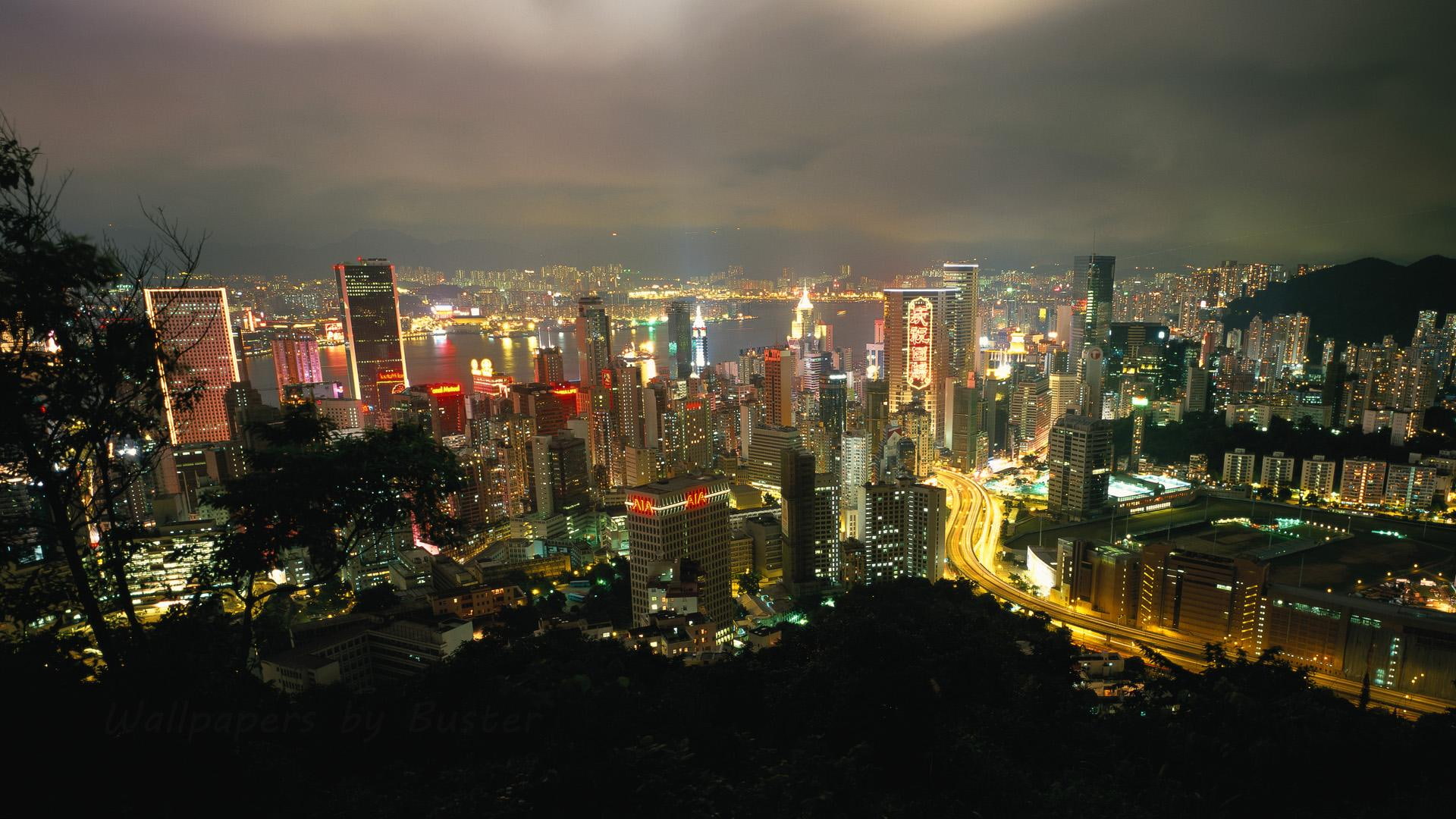 nice, buildings, high, city, animals, rise, night, photo, 1080P, view, megalopolis, HD Wallpaper