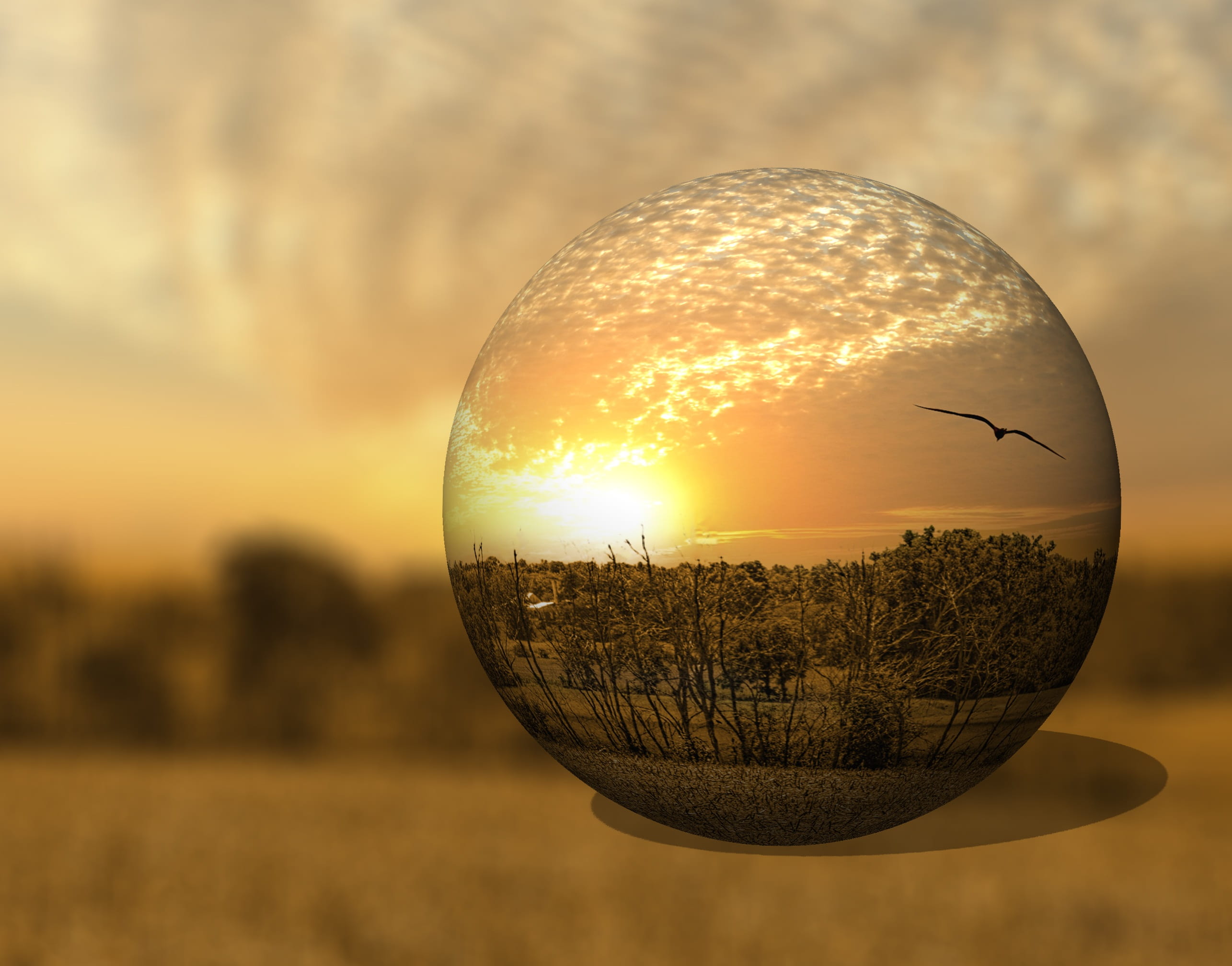 golden, green, sky, 2K, photograph, sunrise, farm land, animal themes, close-up, mirror, champaign, scenery, county, countryside, nature, photo, orange color, HD Wallpaper