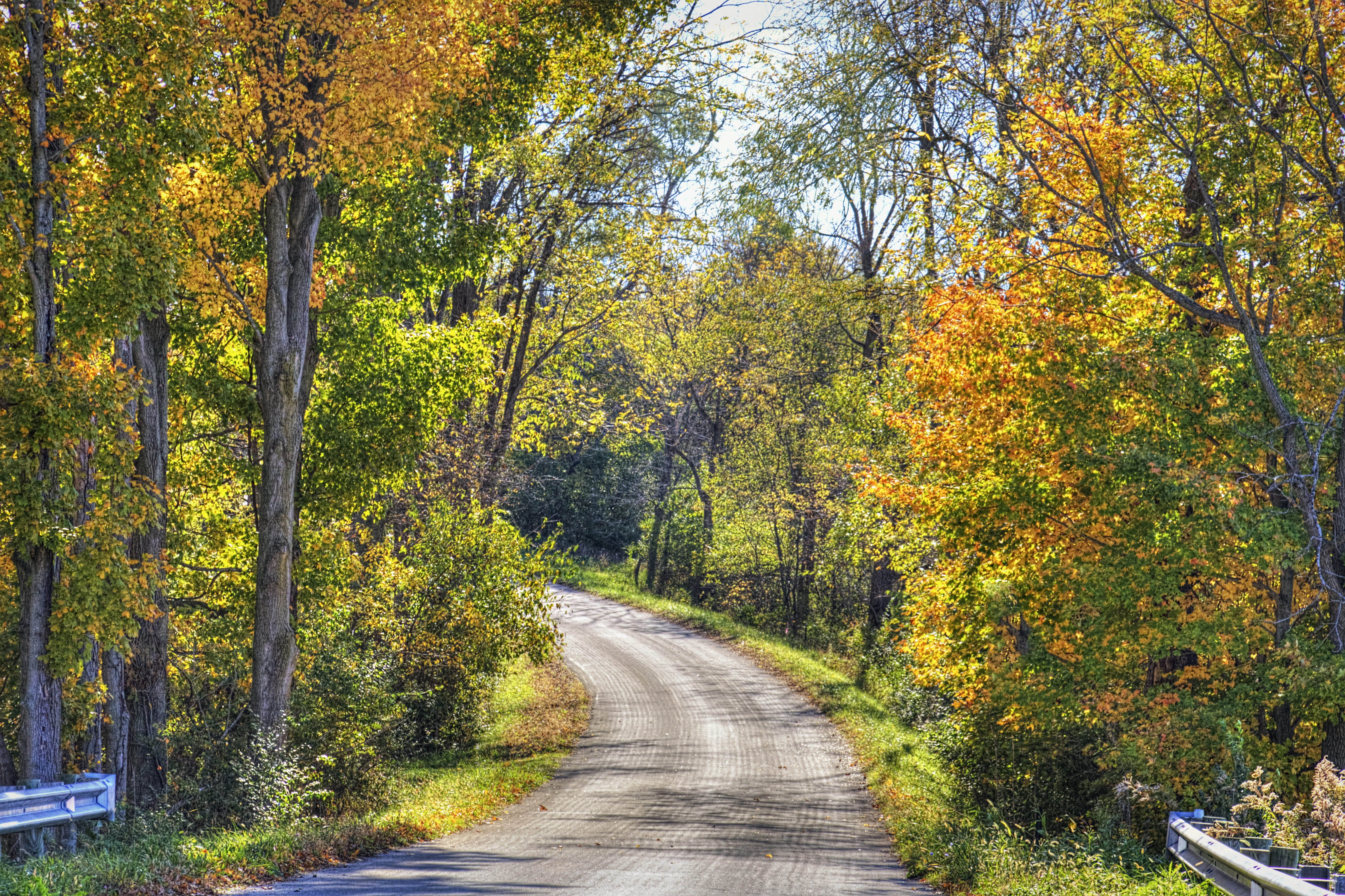 ohio, land, flowers, day, greenery, road, william sturgell, tranquility, scenic, direction, no people, diminishing perspective, nature, growth, golden, HD Wallpaper