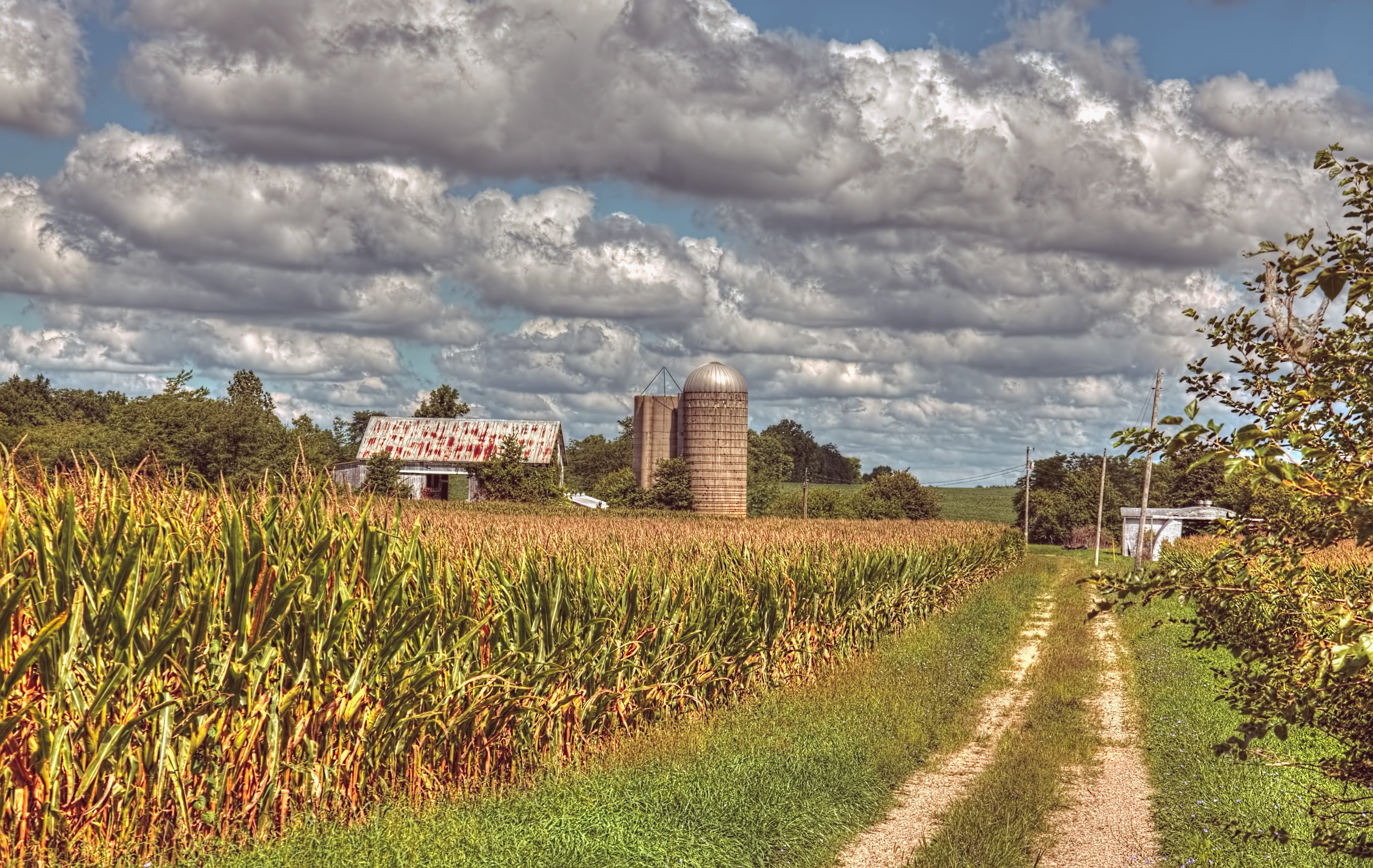 farms, trees, no people, historic, the way forward, rustic, sheds, county, built structure, rural, tree, cloud - sky, structure, skies, plant, outdoors, HD Wallpaper