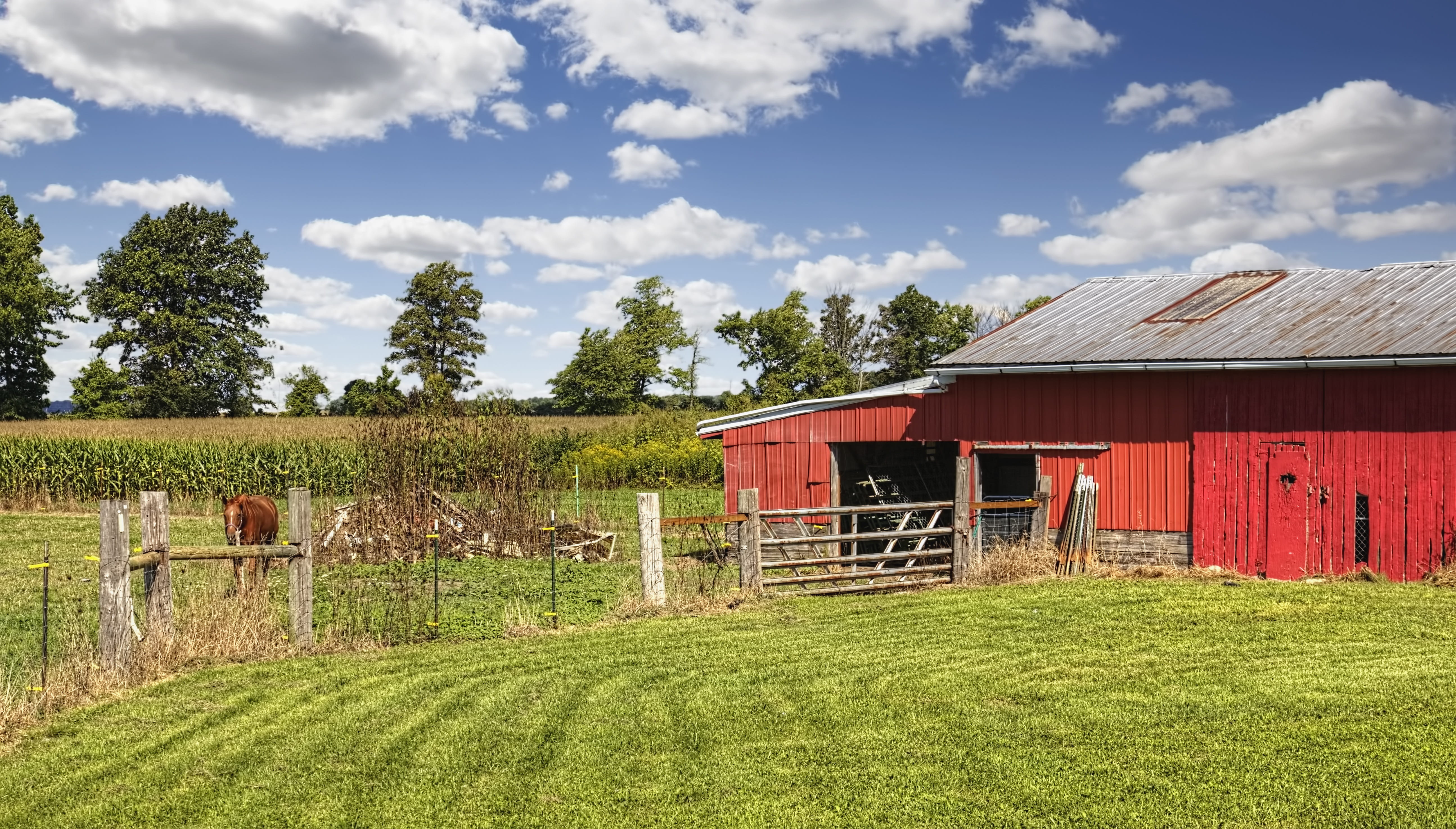 land, county, americana, clouds, agriculture, green color, william sturgell, no people, plant, cloud - sky, urbana, countryside, trees, sturgell, agricultural, HD Wallpaper