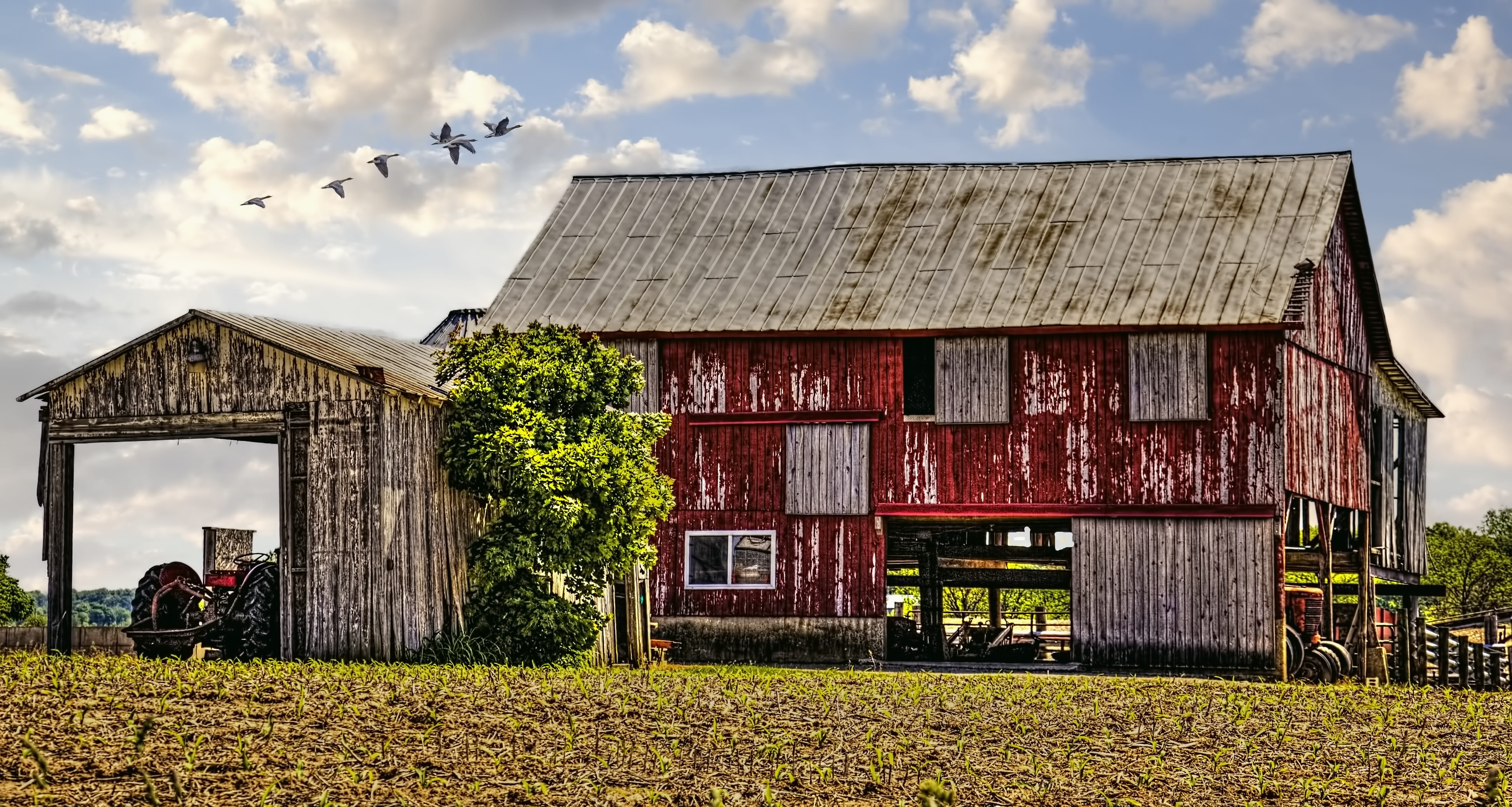 plant, sturgell, sky, buildings, tree, home decor, farms, digital art, grass, no people, scenery, building exterior, outdoors, landscape, country, photograph, HD Wallpaper