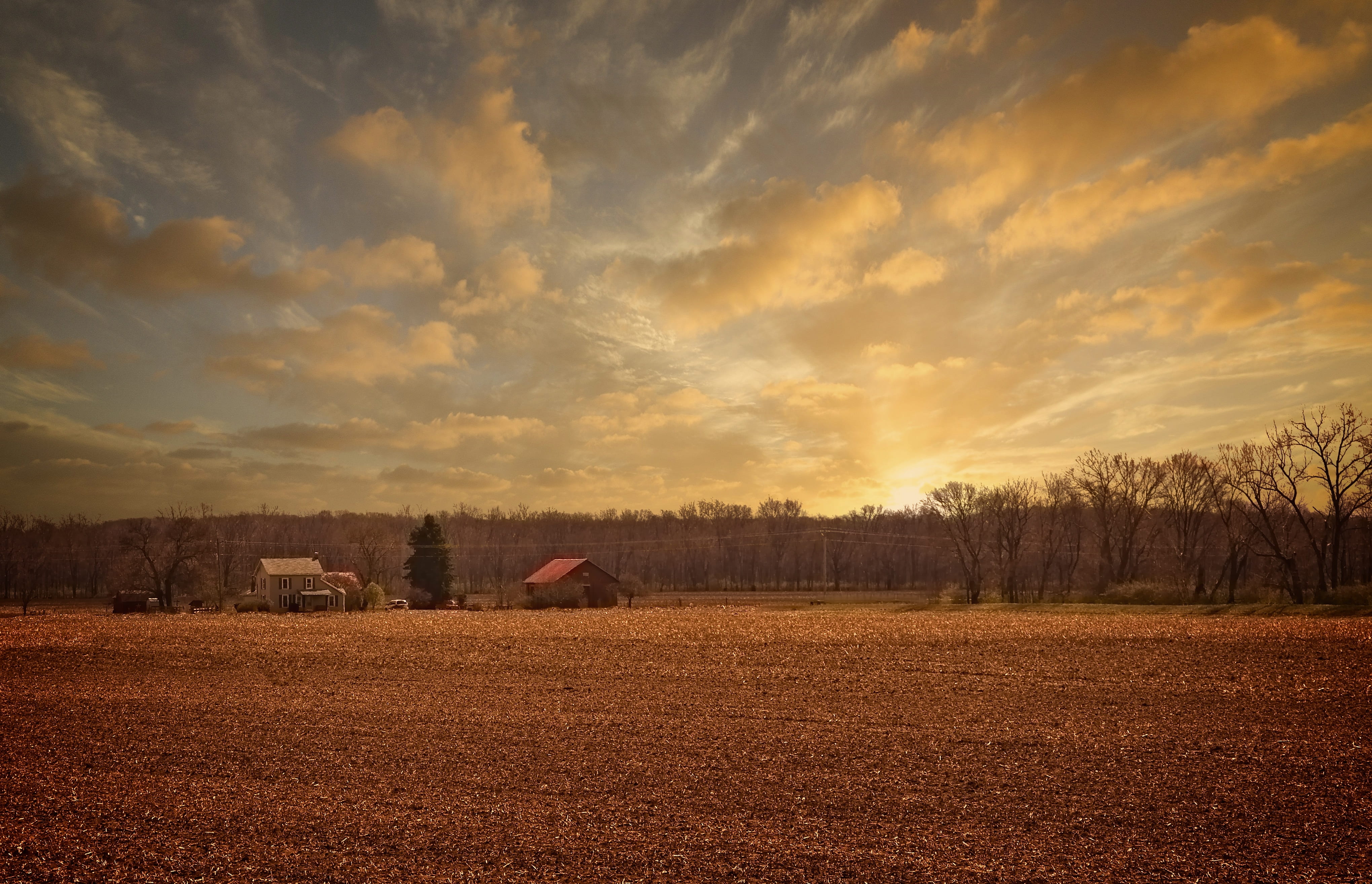 golden, farm land, cloudy sky, digital art, william sturgell, greenery, sky, trees, environment, agriculture, tree, cloud, rural scene, photograph, cloudy skies, HD Wallpaper