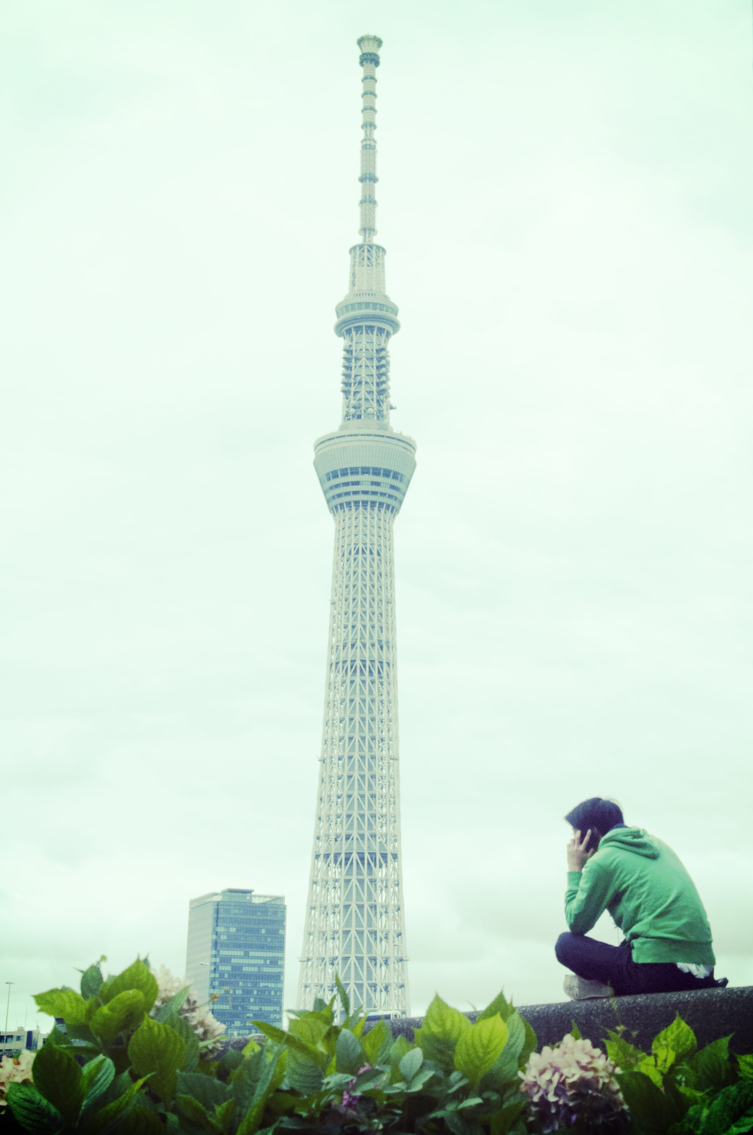 women, built structure, man, sumida park, outdoors, nature, adult, real people, phone, travel, men, tourism, day, tokyo skytree, building exterior, office building exterior, Phone HD Wallpaper