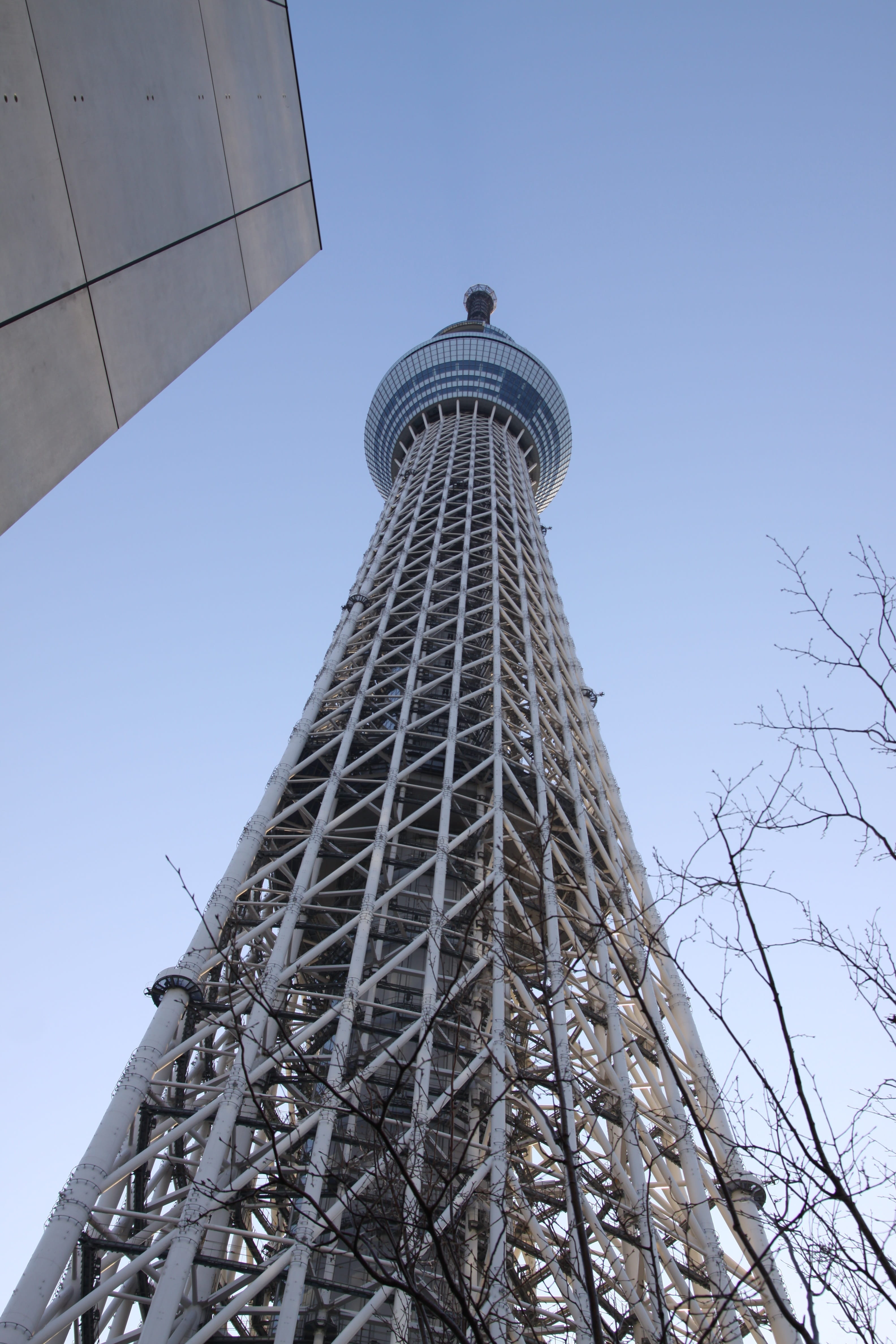 building, travel destinations, Japan, architecture, building exterior, sky, built structure, low angle view, clear sky, office building exterior, tokyo, Phone HD Wallpaper