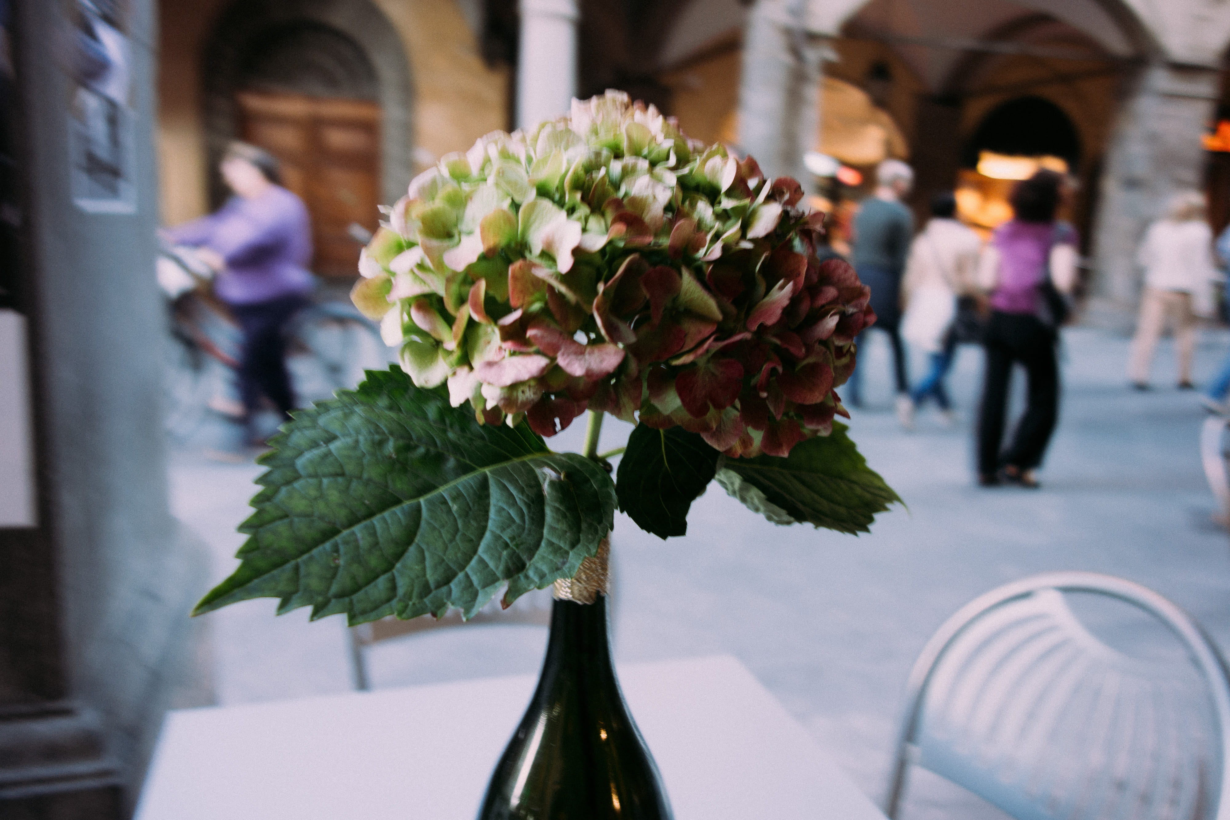 town, caf, flower, architektur, italia, table, flower arrangement, built structure, tuscany, sights, architecture, nature, fragility, building exterior, HD Wallpaper