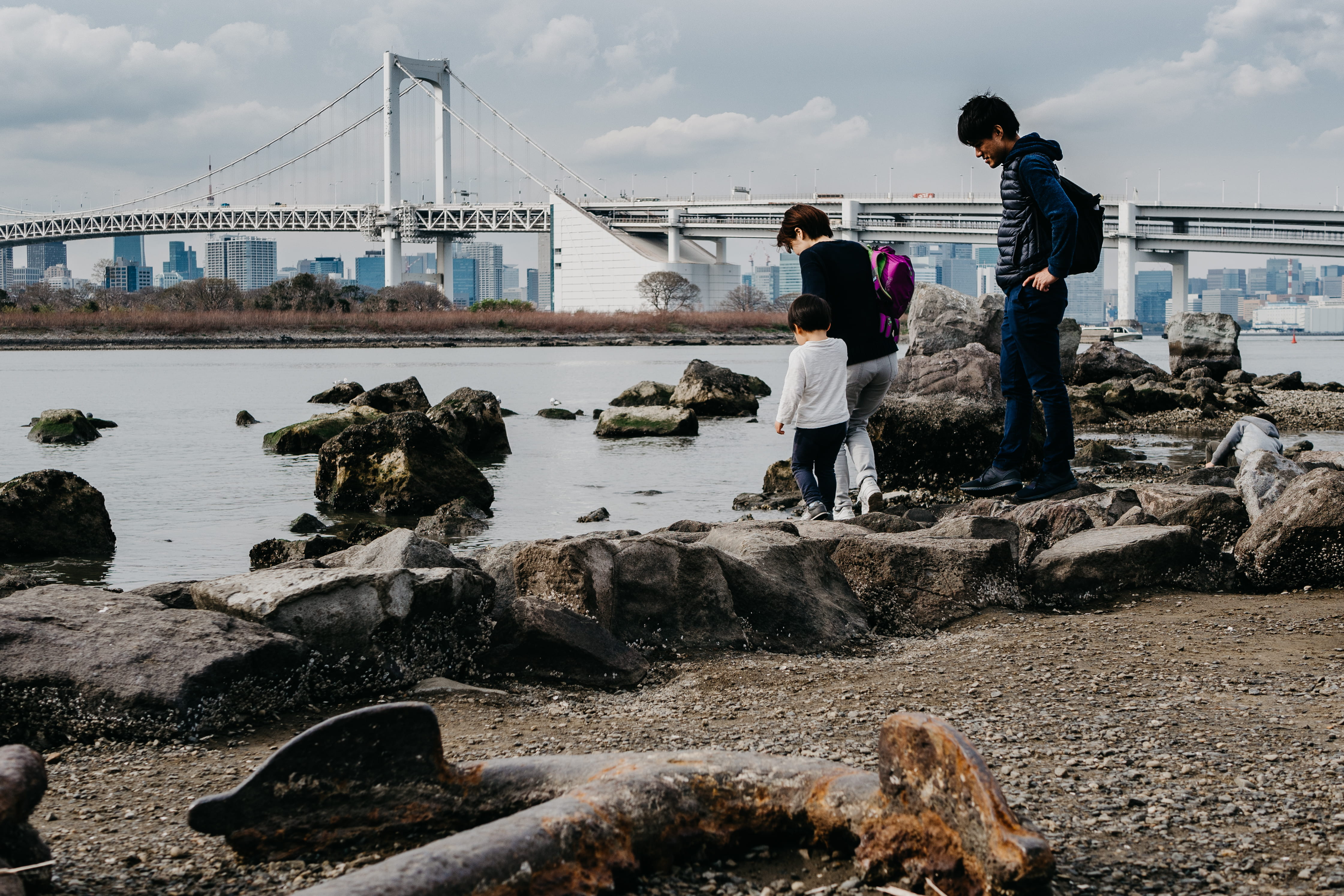 standing, bridge - man made structure, real people, japan, building exterior, tokio, architecture, bridge, built structure, odaiba, river, solid, nature, HD Wallpaper