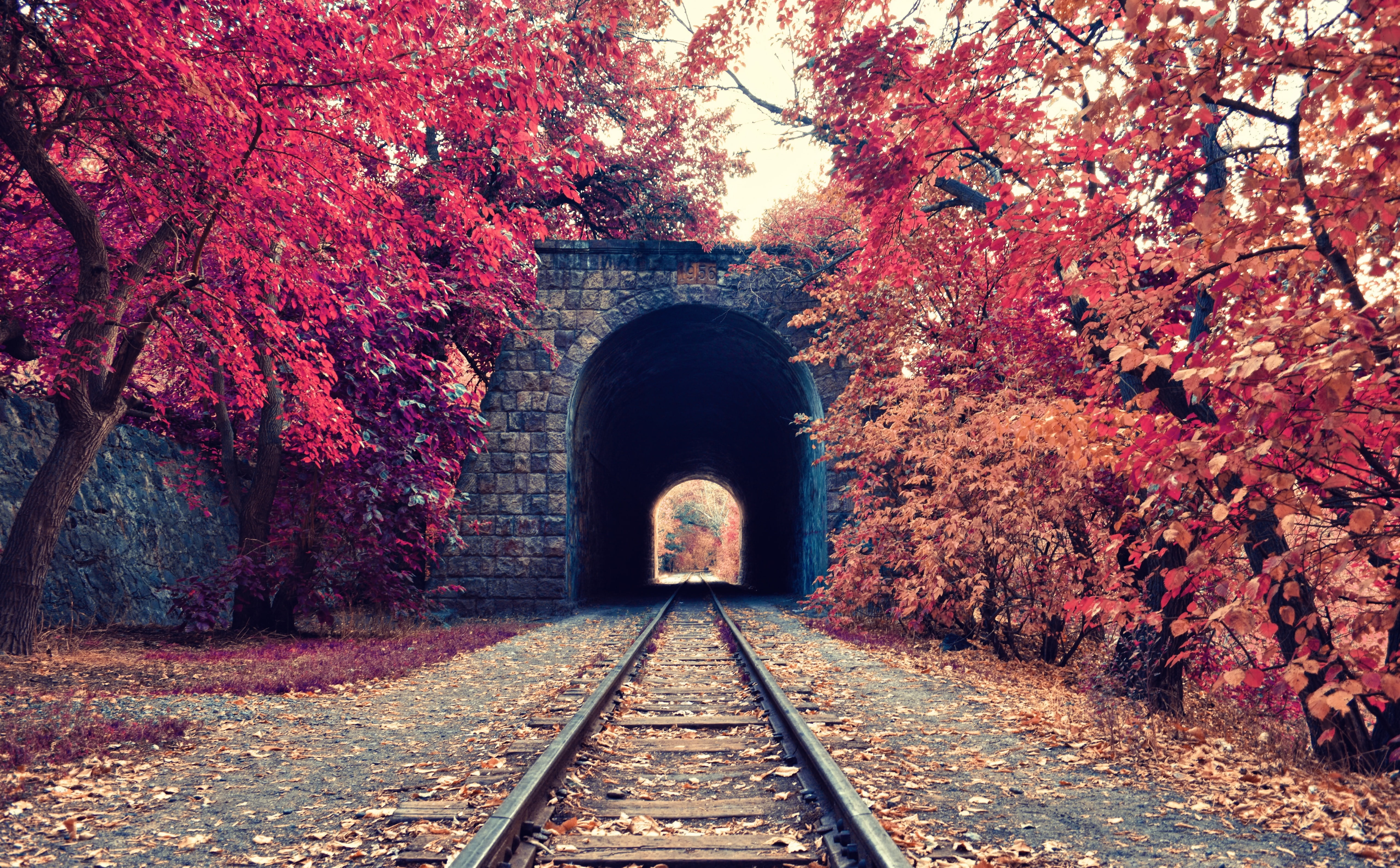 no people, concrete, leaf, yerevan, Autumn, rails, diminishing perspective, growth, fall, cherry blossom, transportation, Seasons, rail transportation, HD Wallpaper