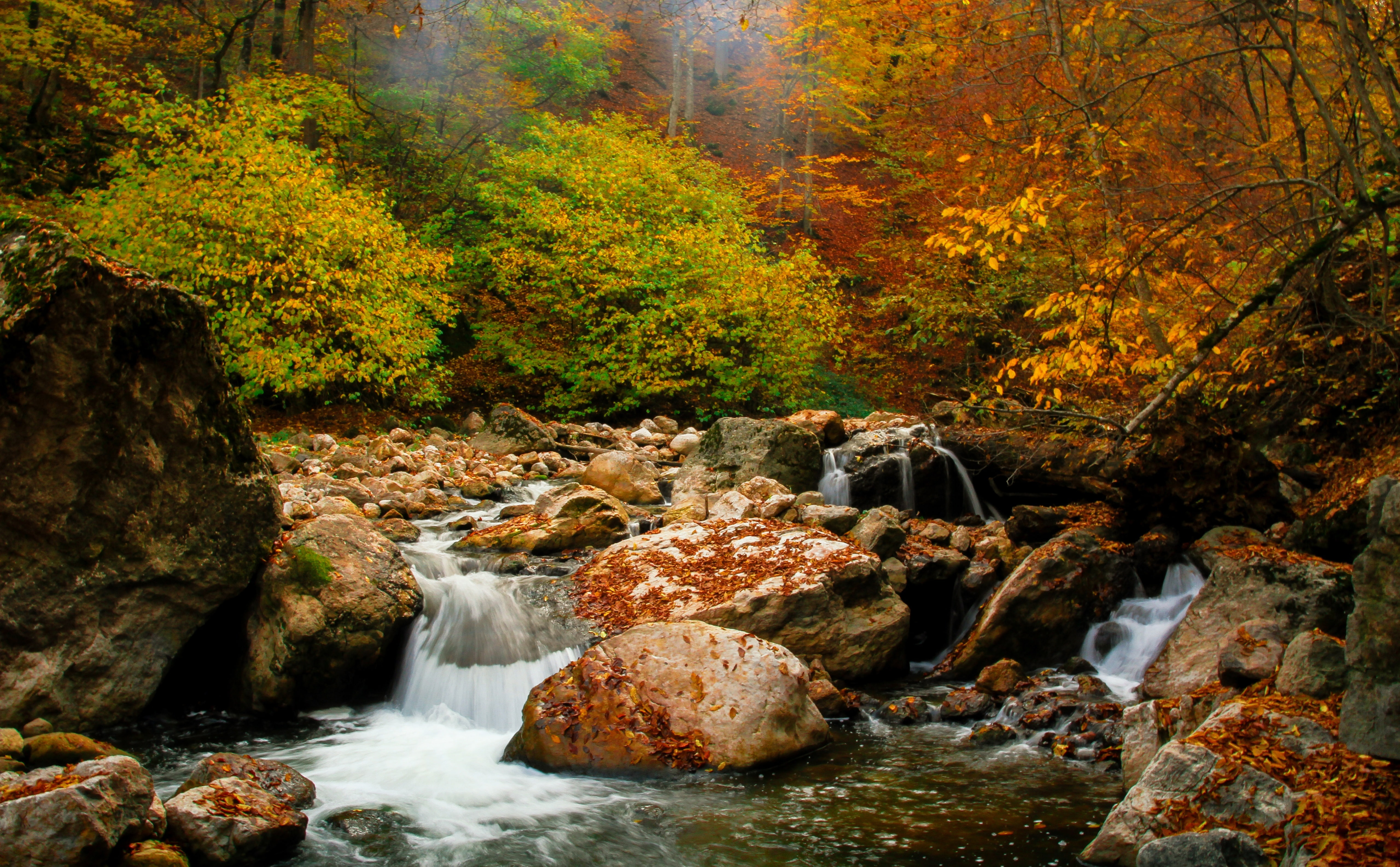 rock, plant, spring, waterfall, canon, rainforest, yerevan, long exposure, lastiver, Autumn, nature, Seasons, rock - object, erevan, waterwalls, autumn collection, HD Wallpaper