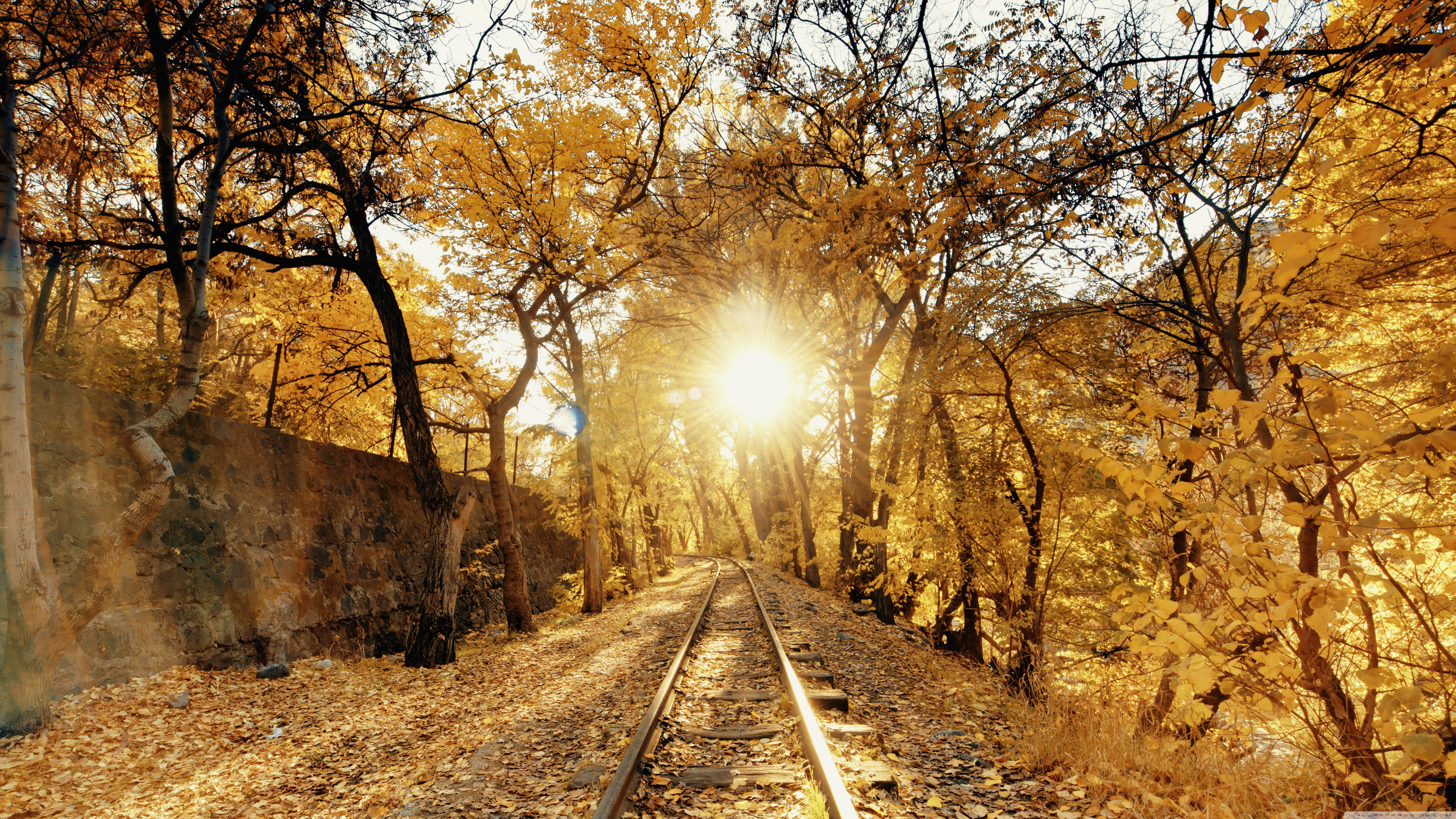 5K, Yerevan, Armenia, Hayk, HD Wallpaper