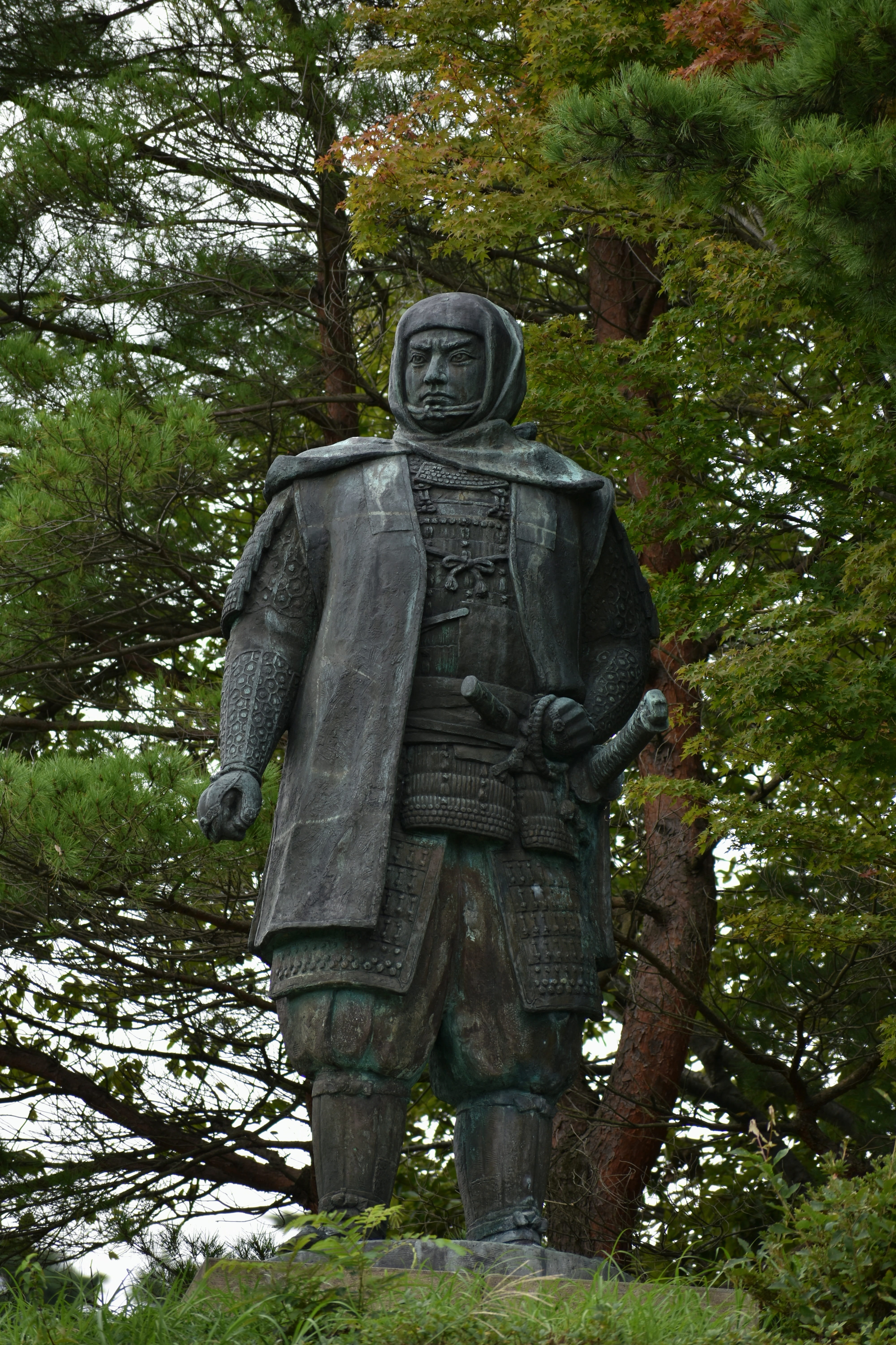 statue, creativity, plant, representation, forest, male likeness, tree, the middle ages, sculpture, park, growth, green color, nature, sengoku is the strongest, Phone HD Wallpaper