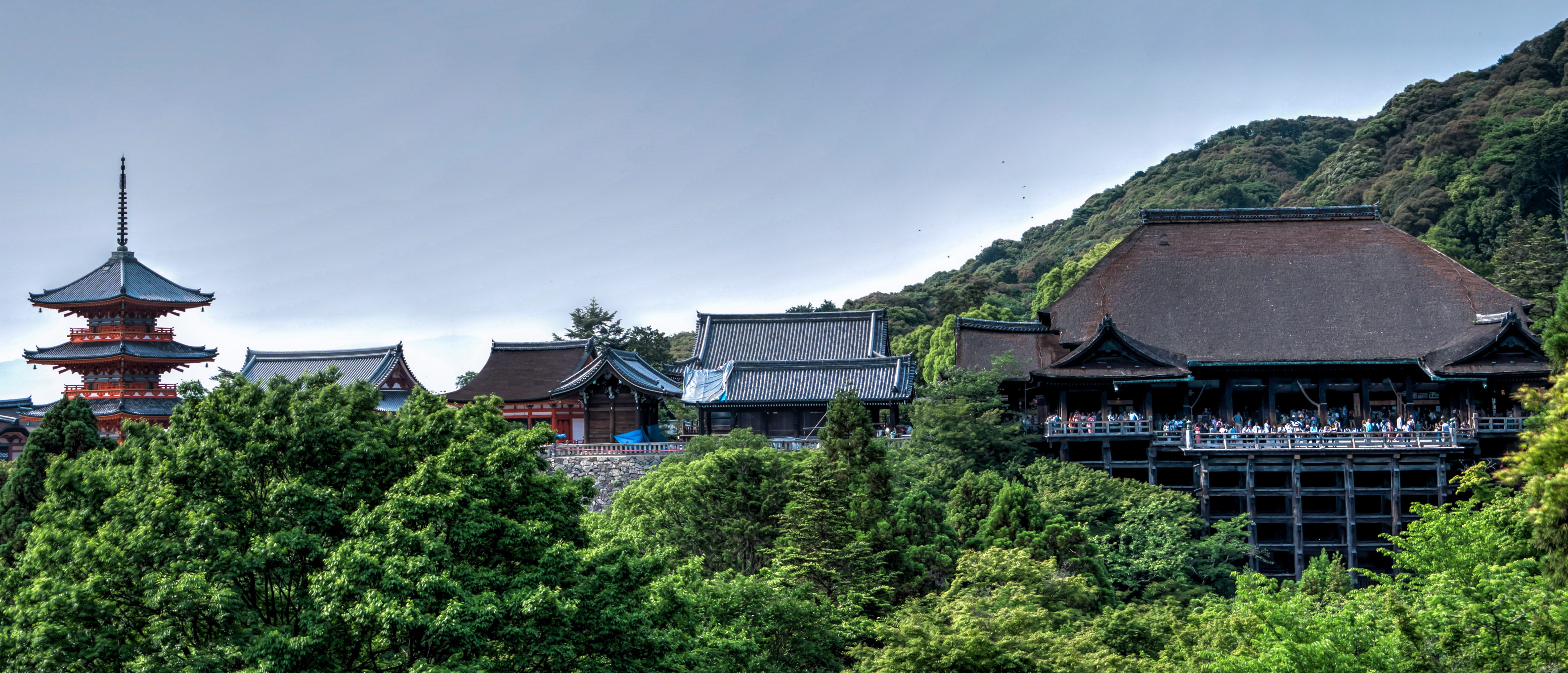 asian, building, house, traditional, building exterior, place of worship, Japanese, green, built structure, religion, travel, architecture, temple, asia, HD Wallpaper