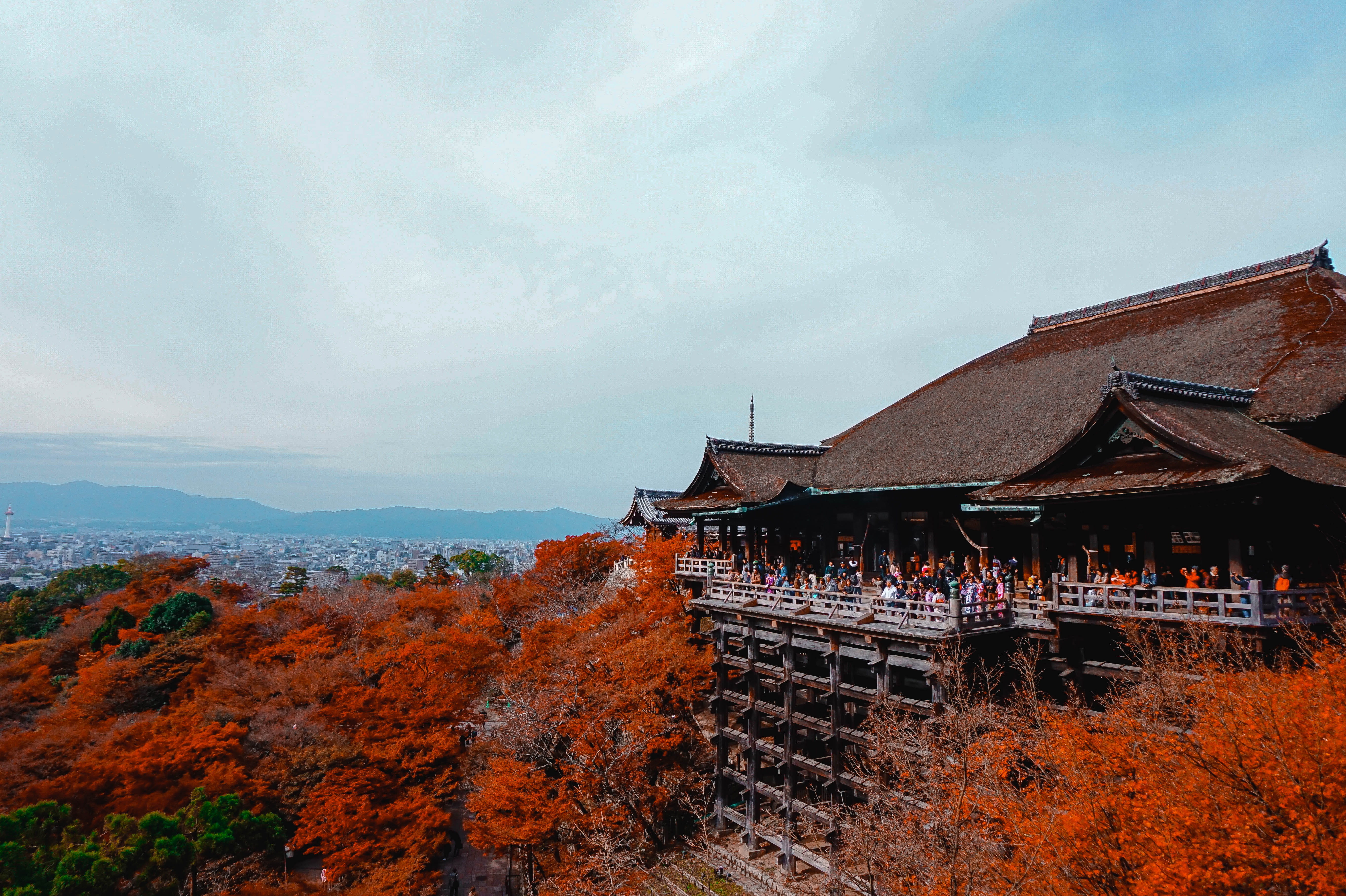 temple, residential district, outdoors, place of worship, house, roof, plant, building exterior, kyōto-shi, mountain, day, japan, built structure, 5K, HD Wallpaper