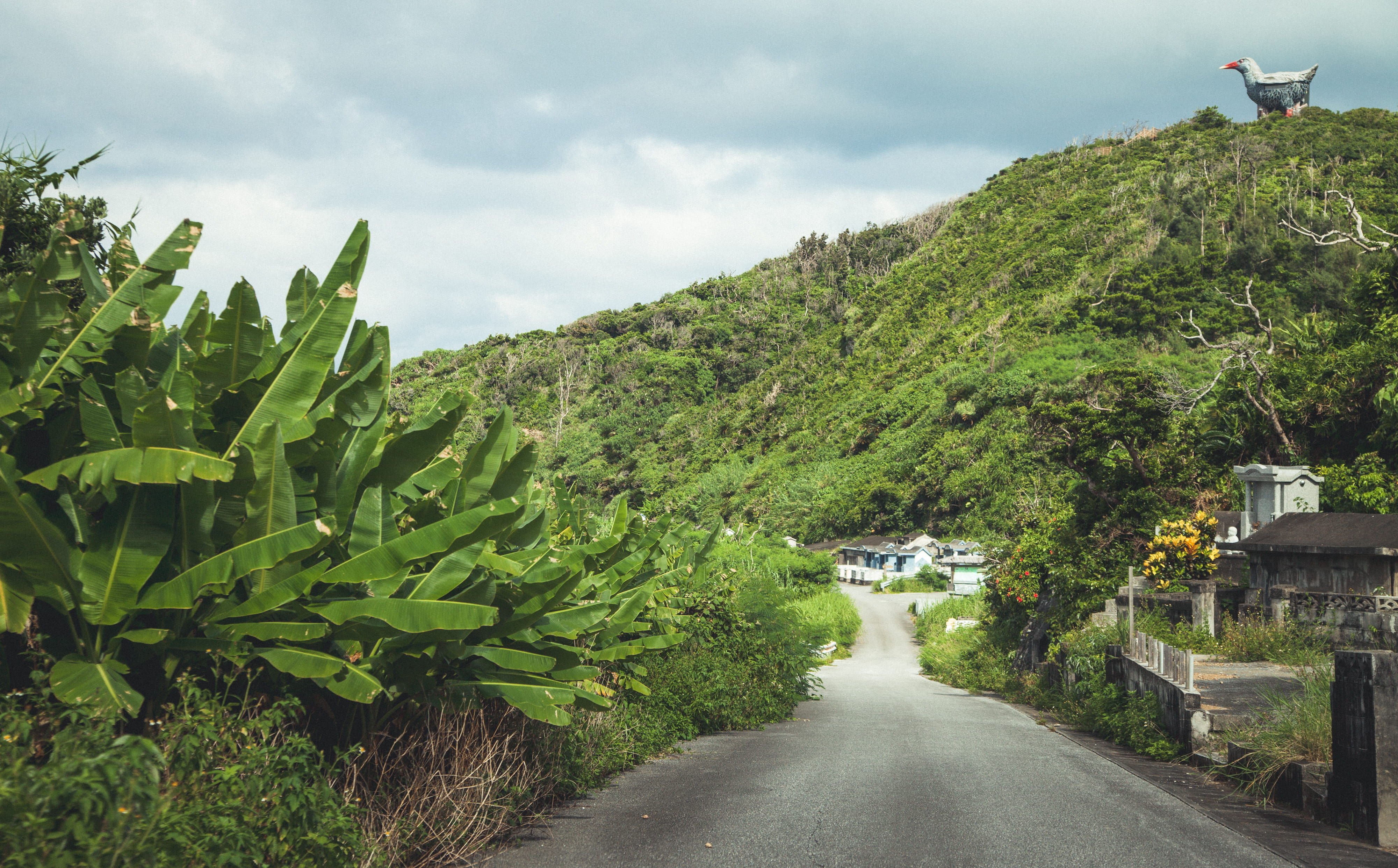 beach, road, growth, sky, tree, tranquility, okinawa prefecture, nature, beauty in nature, 4K, outdoors, small, mountain, day, forest, the way forward, HD Wallpaper