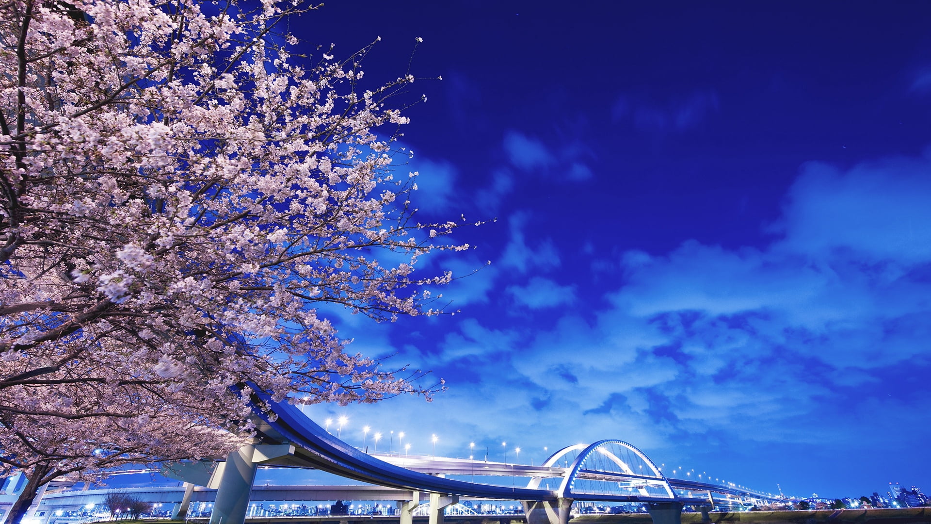 japan, outdoors, cherry blossom, city, pink, flowering plant, transportation, growth, cityscape, concrete, dusk, bridge, sky, backgrounds, low angle view, HD Wallpaper