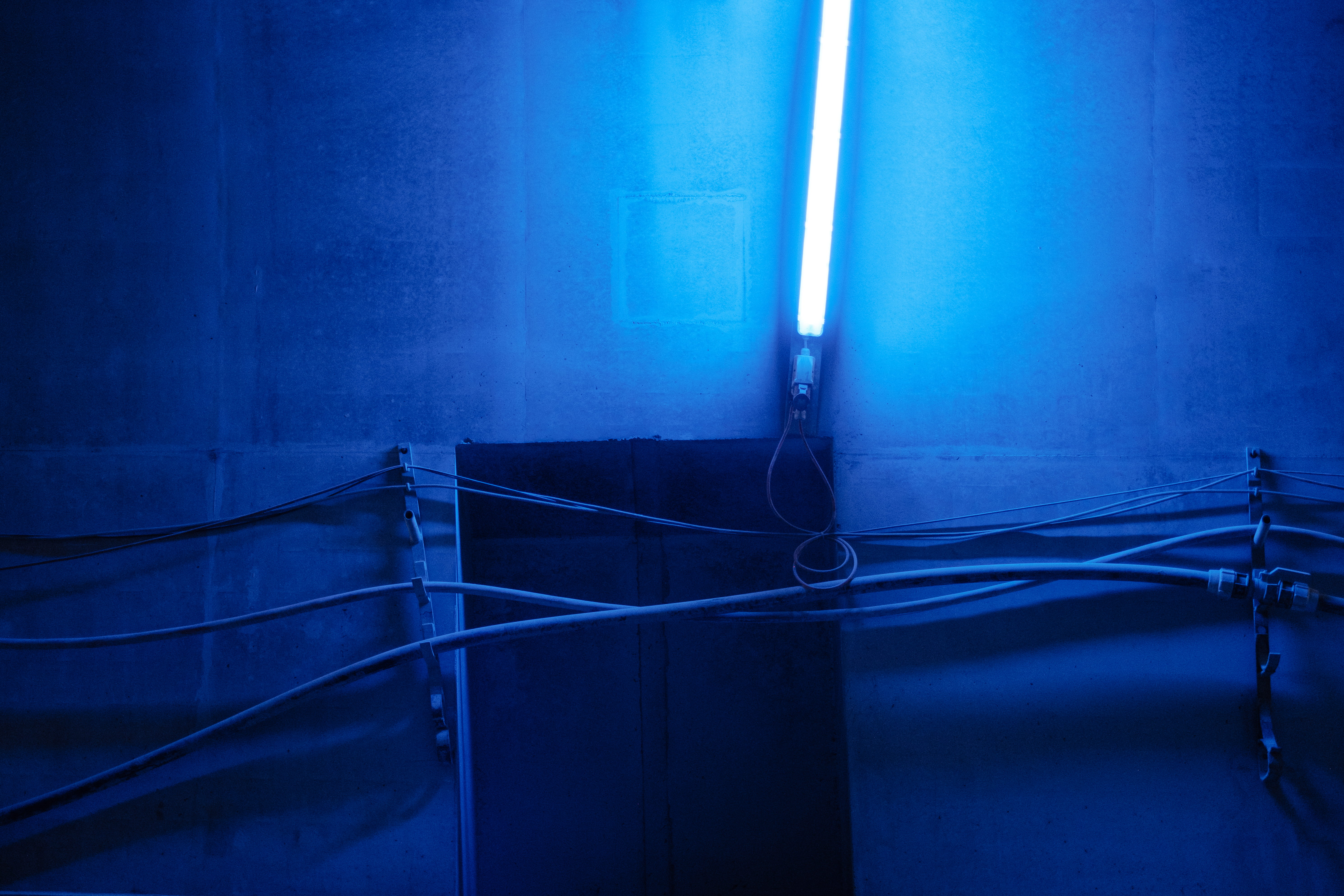 wires, blue, metal, night, neon, untitled, neon light, light - natural phenomenon, fog, spooky, wall - building feature, dark, color, railing, no people, HD Wallpaper