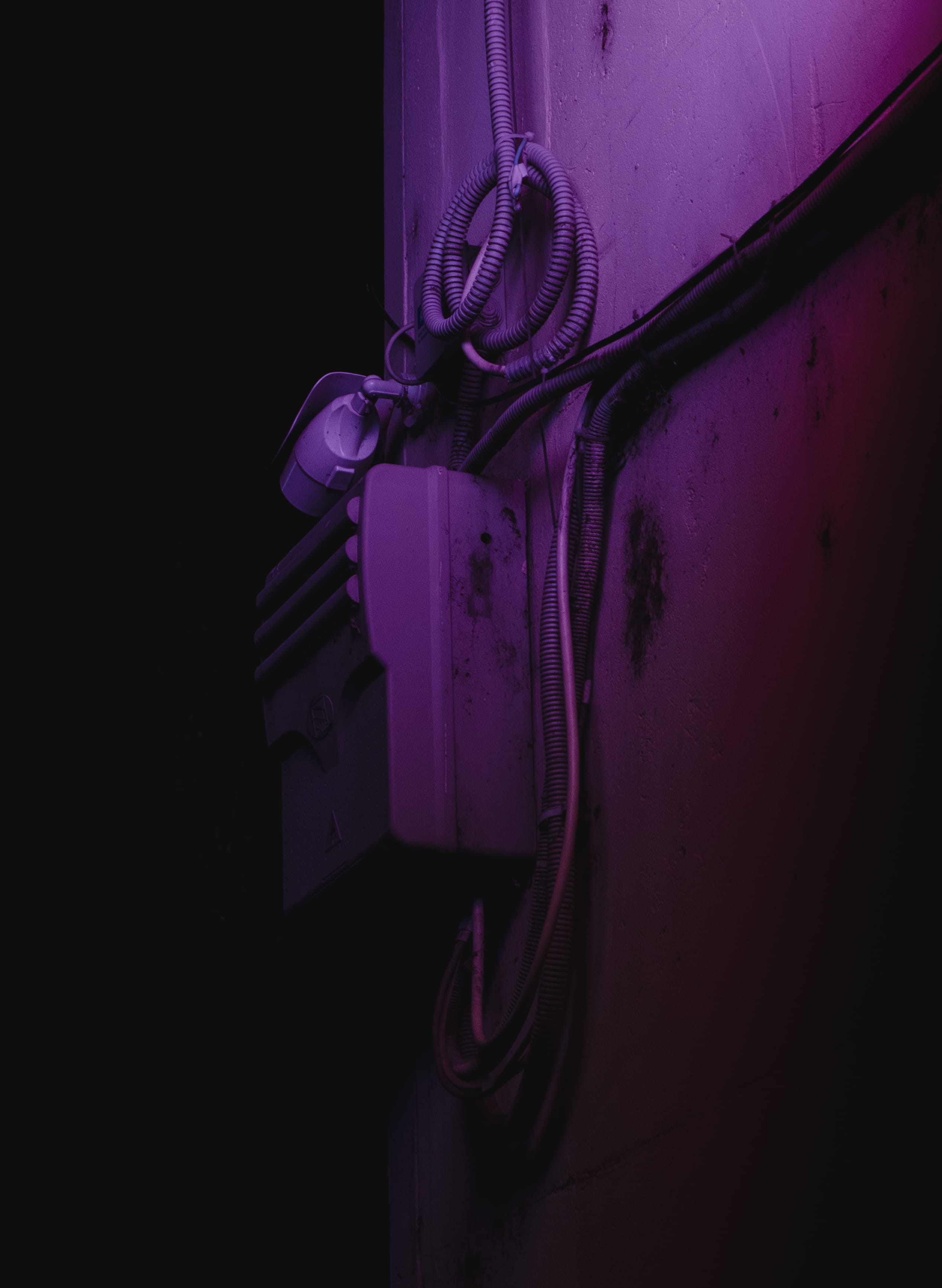 neonlight, dark, night, security camera, coated, urban, wire, no people, light, computer, door, still life, guitar, 2K, neonlights, domestic room, black background, Phone HD Wallpaper