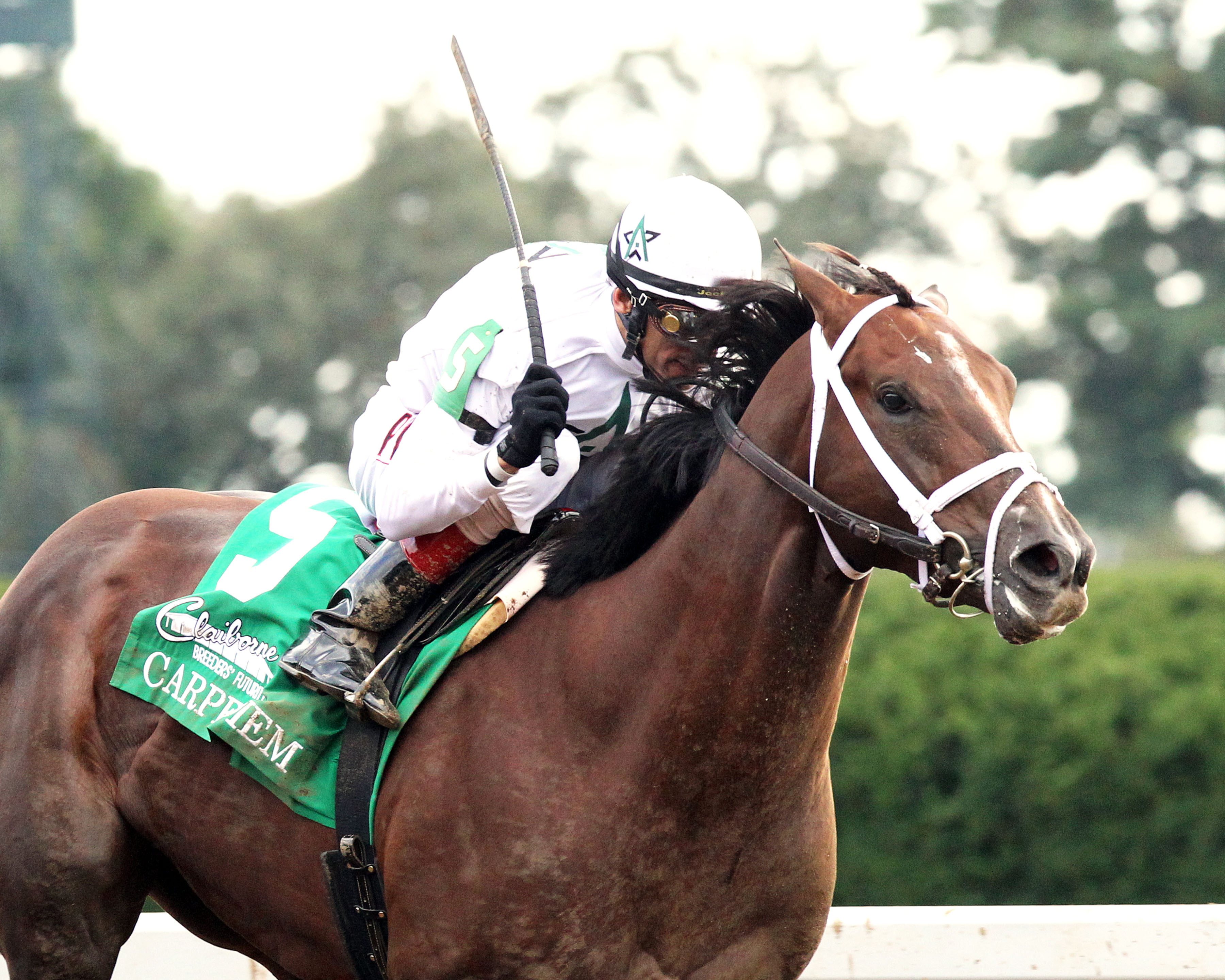hand, mammal, one person, one animal, kentucky derby, winning, herbivorous, kentucky derby 2015, domestic animals, gambling, thoroughbred Horse, domestic, HD Wallpaper