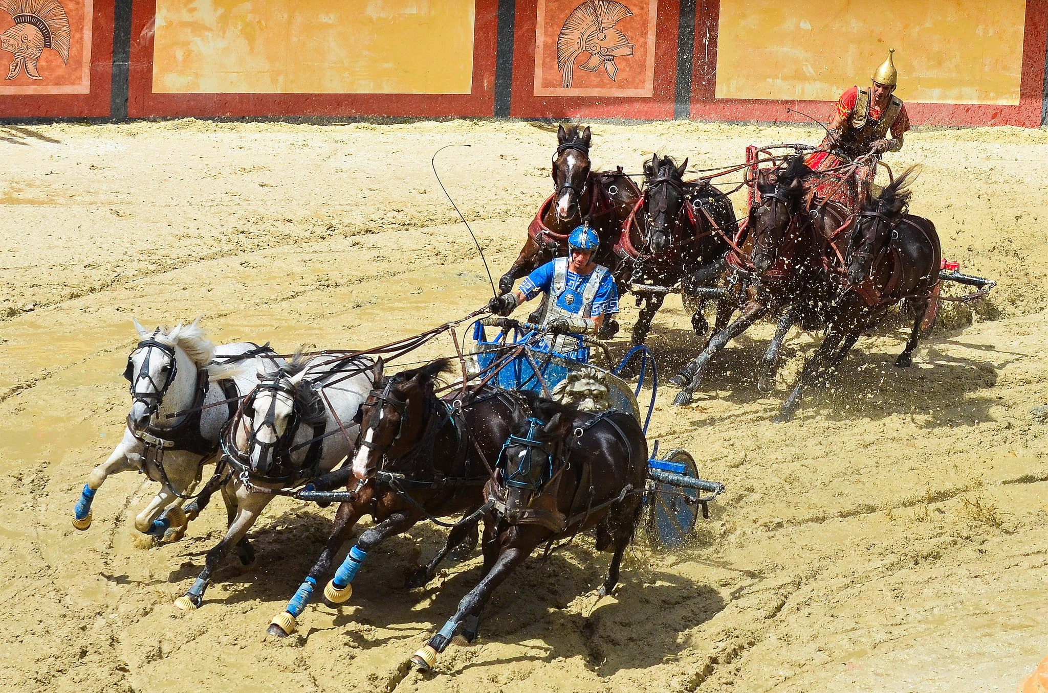 horses, arena, chariots, 1080P, racing, HD Wallpaper