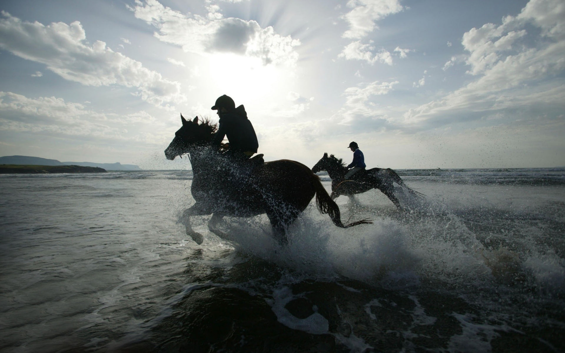 racing, 1080P, hd, horse, sports, HD Wallpaper
