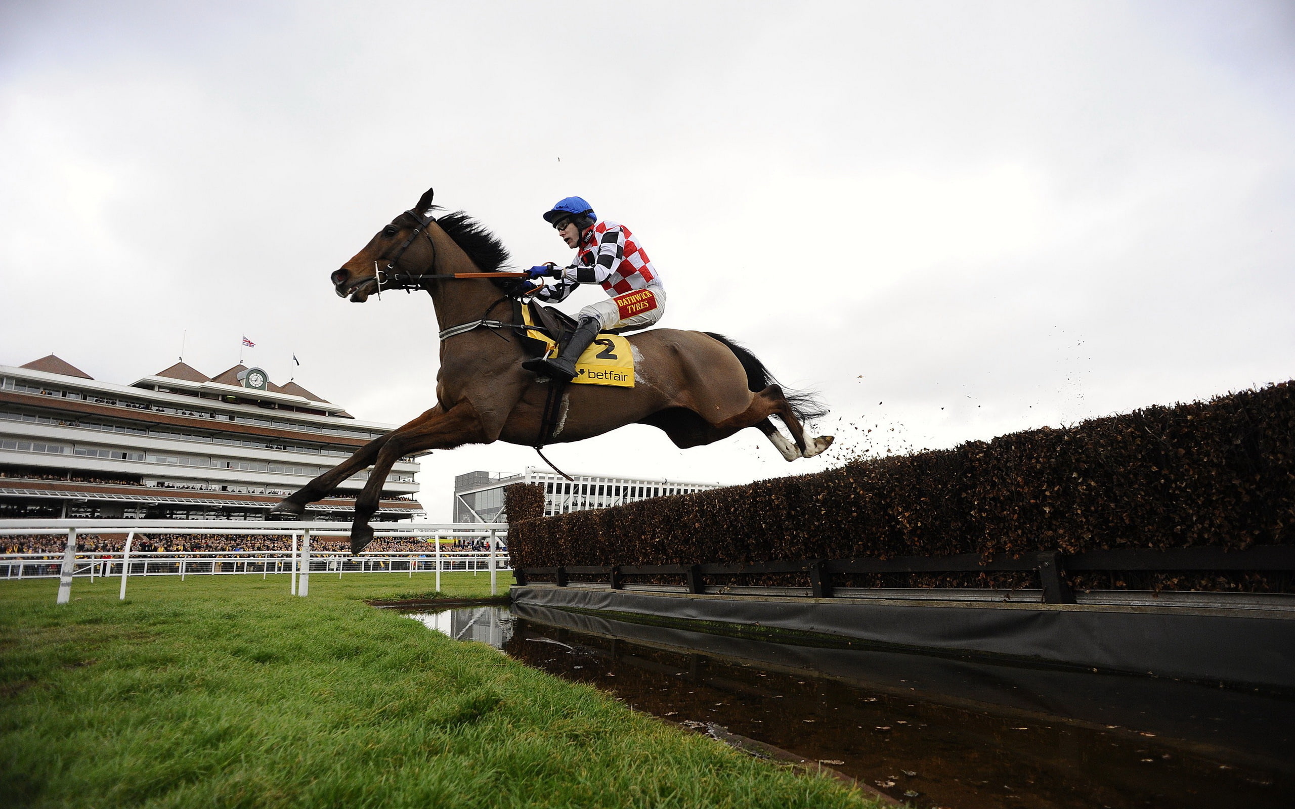 sports, 2K, hd, racing, horse, HD Wallpaper
