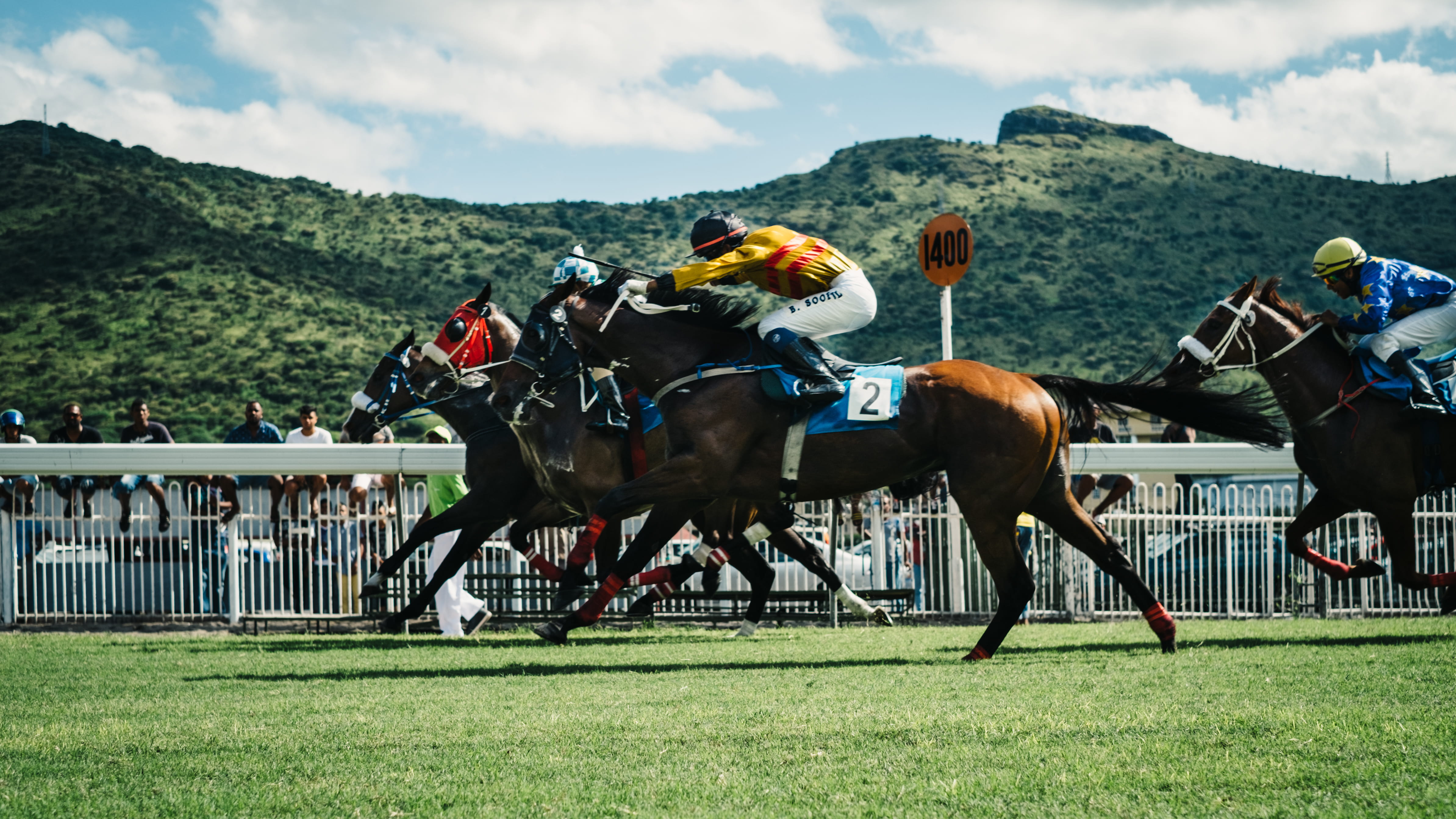 outdoors, flat Racing, mammal, competitive Sport, sports Venue, excitement, japan Racing Association, herbivorous, winning, sport, jockey, man, nature, HD Wallpaper
