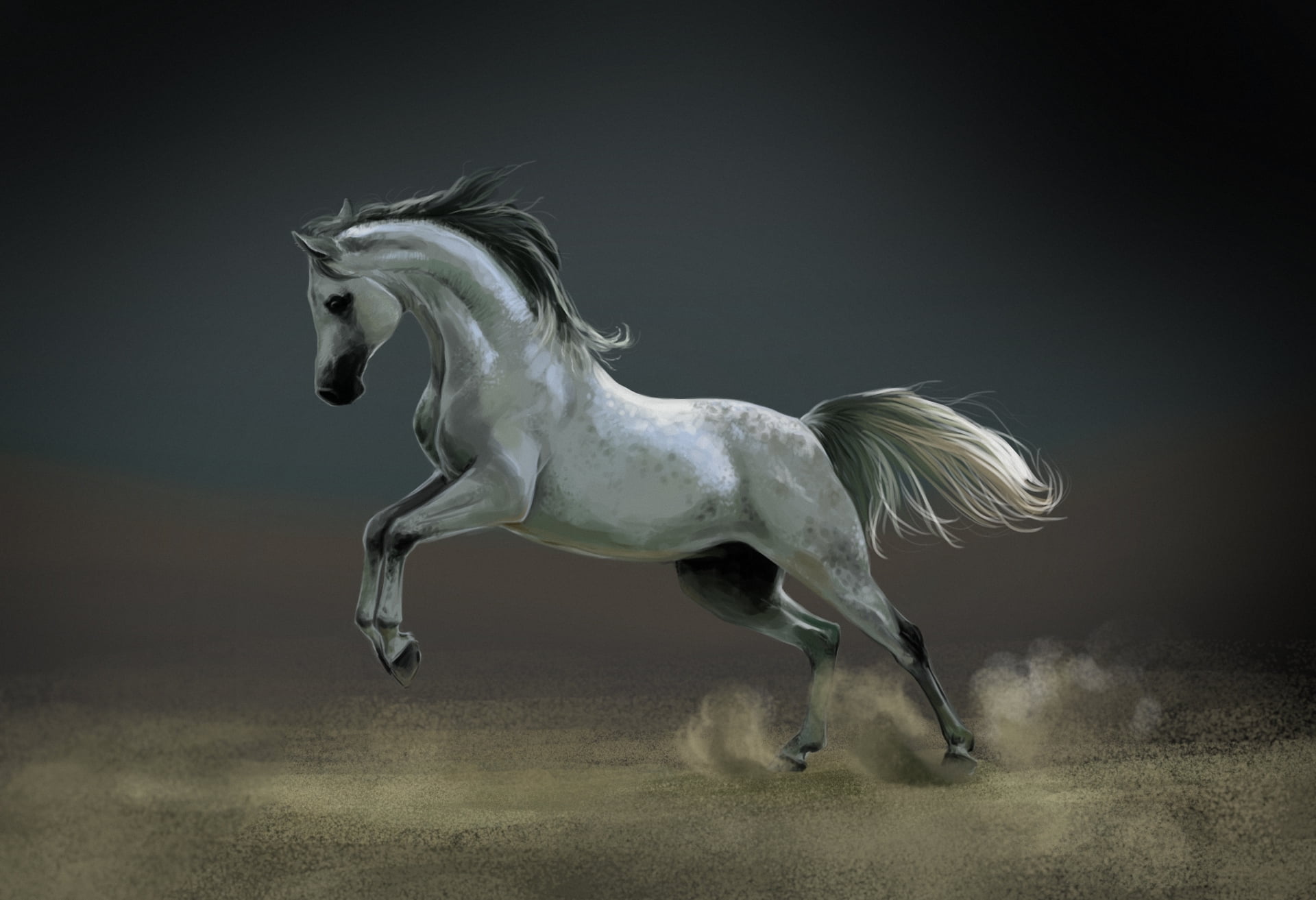 one animal, no people, speed, motion, stallion, art, animal themes, farm, profile view, vertebrate, horse, running, thoroughbred Horse, hairstyle, mare, HD Wallpaper