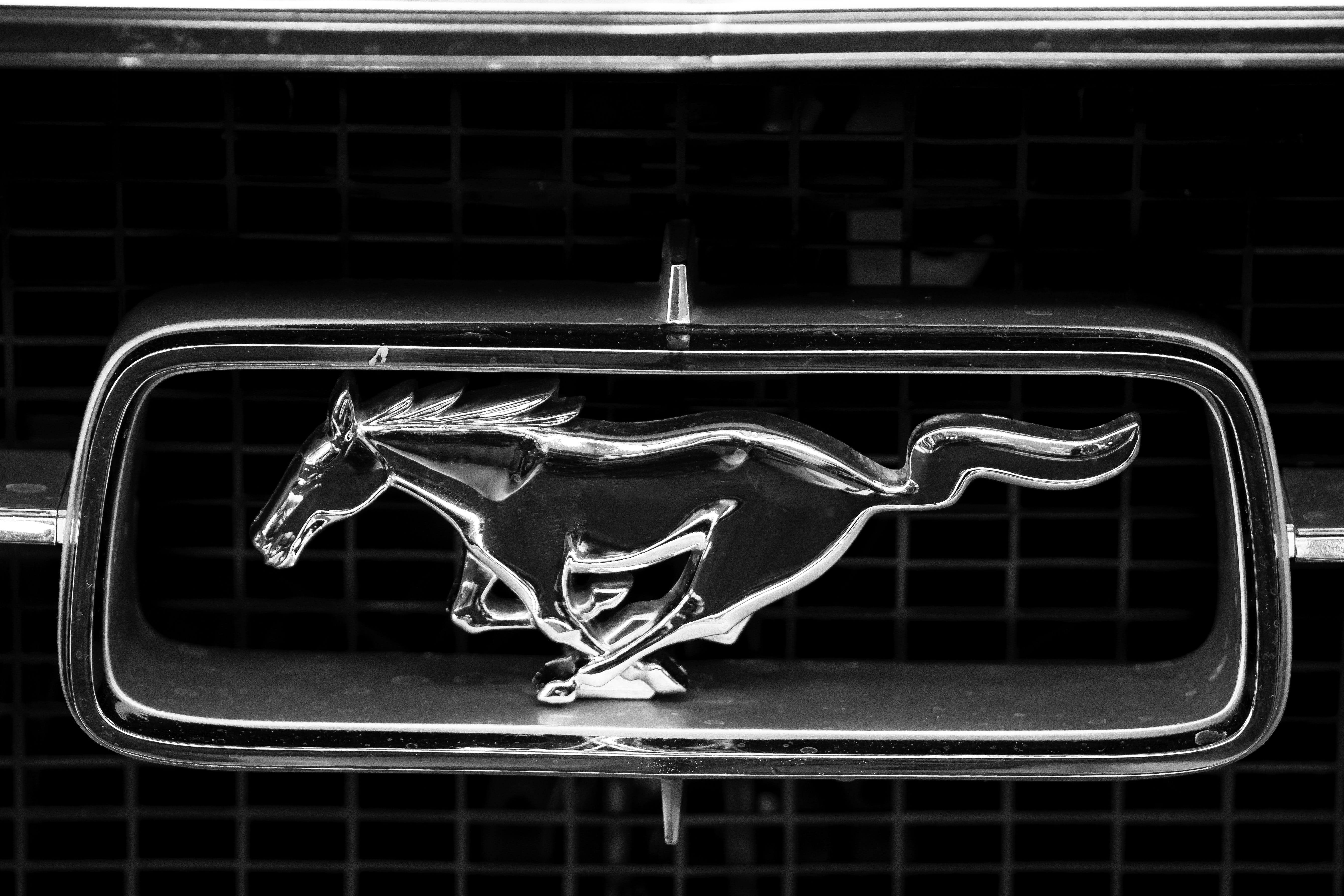 night, closeup, silver, animal representation, people, ford, creativity, focus on foreground, automotive, no people, indoors, day, window, silver colored, HD Wallpaper
