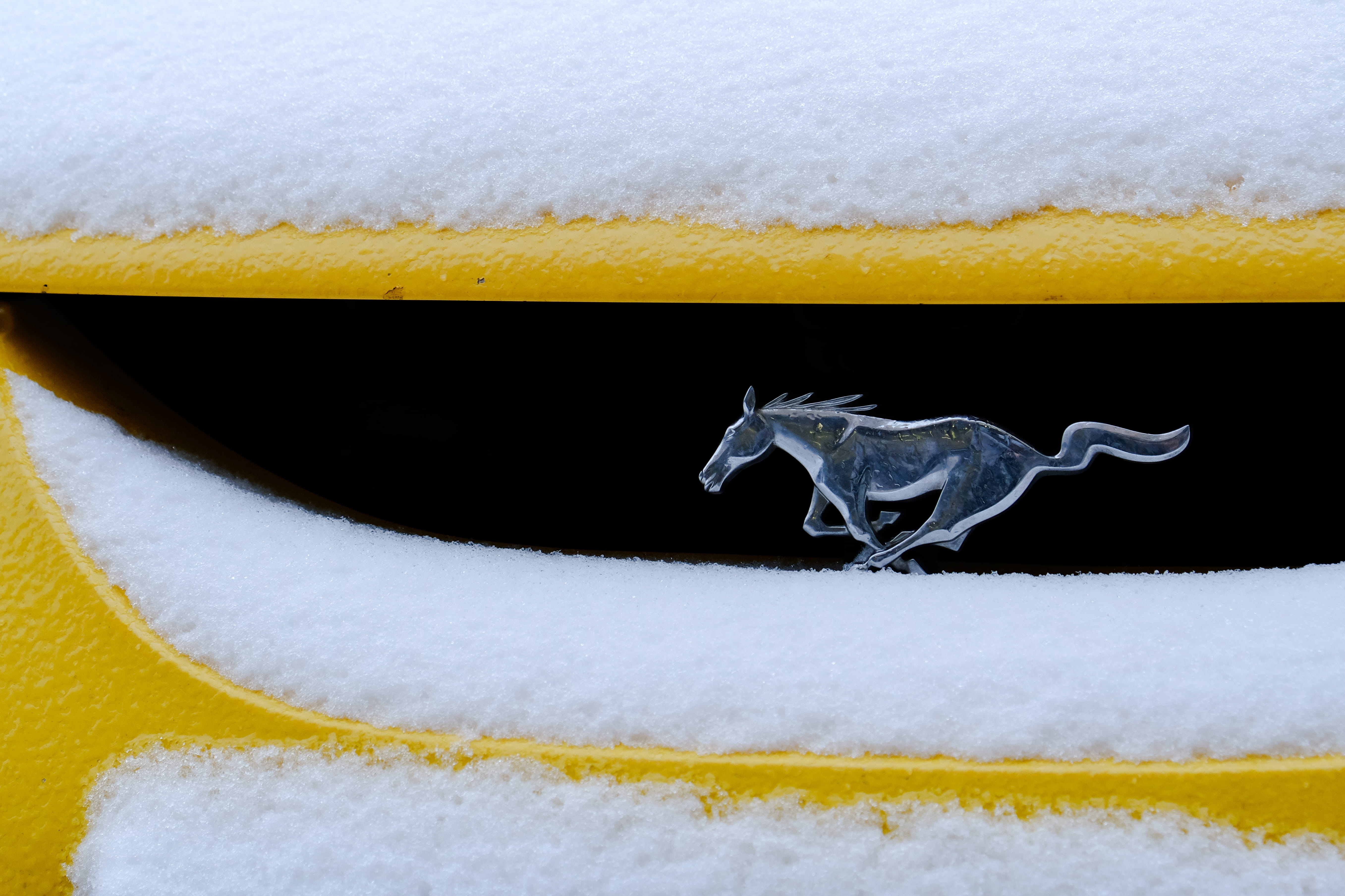 yellow color, backgrounds, outdoors, drink, yellow car, snow, indoors, reptile, car, still life, glass, household equipment, animal, black color, no people, HD Wallpaper